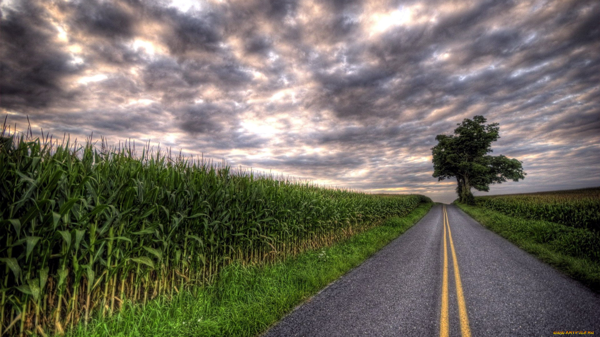 природа, дороги, шоссе