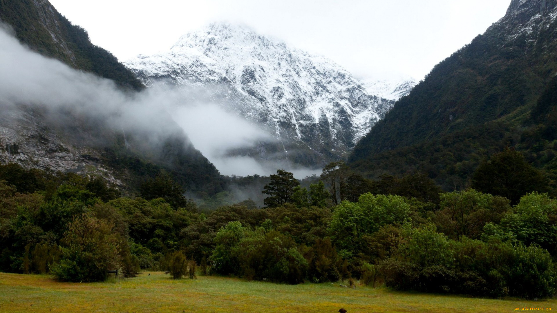 природа, горы, туман