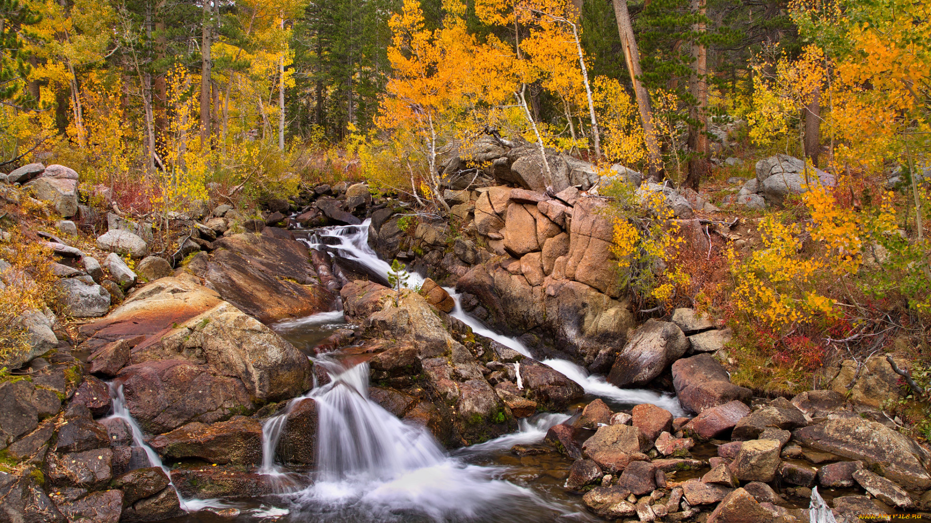 природа, реки, озера, простор