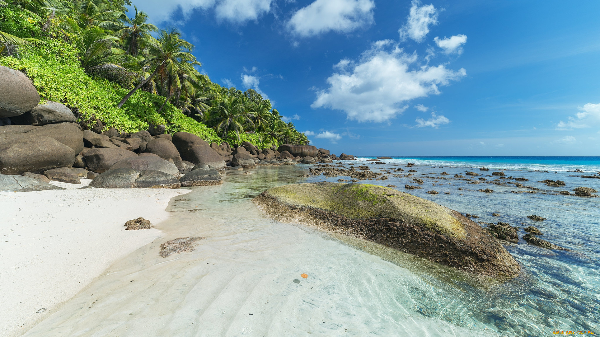 природа, тропики, простор