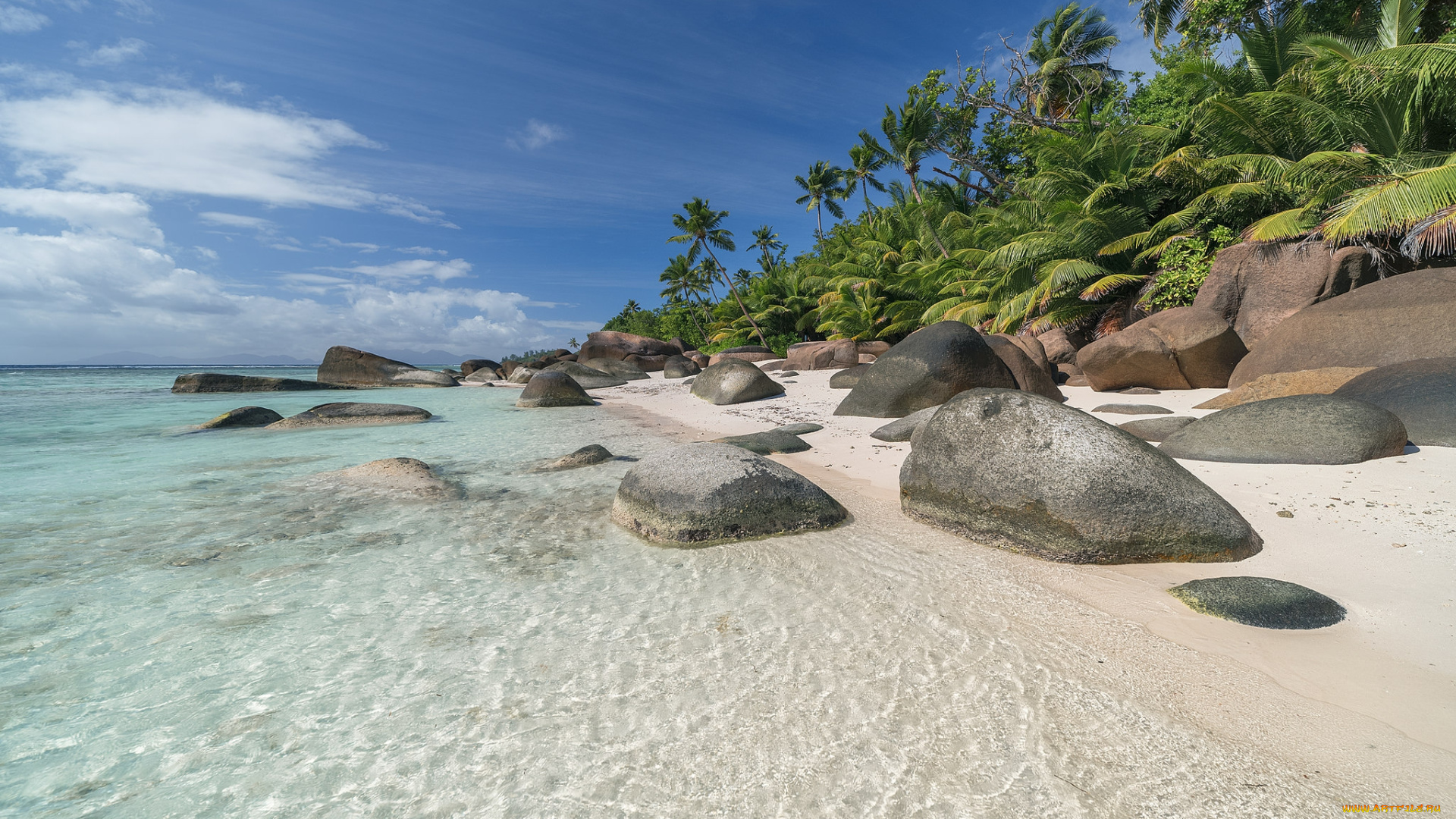 природа, тропики, простор