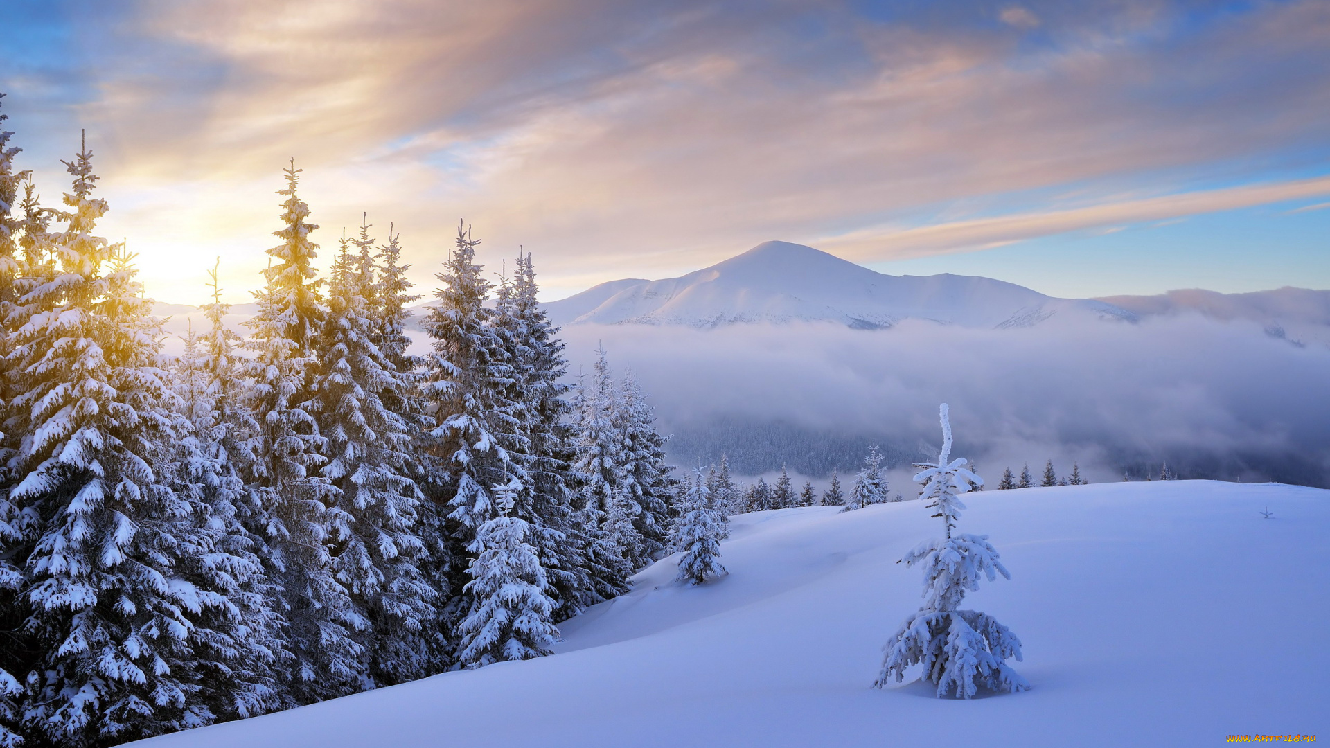 природа, зима, снег