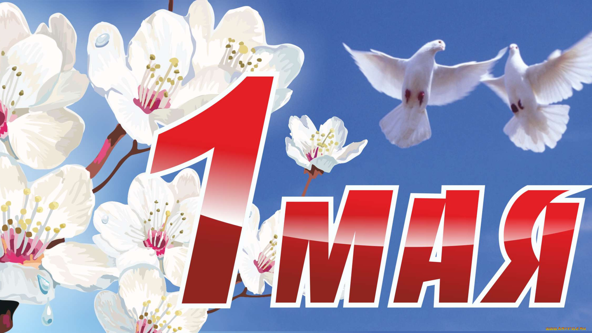 с, праздником, весны, и, труда, праздничные, другое, весна, 1, мая, праздник, плакат, май, труд