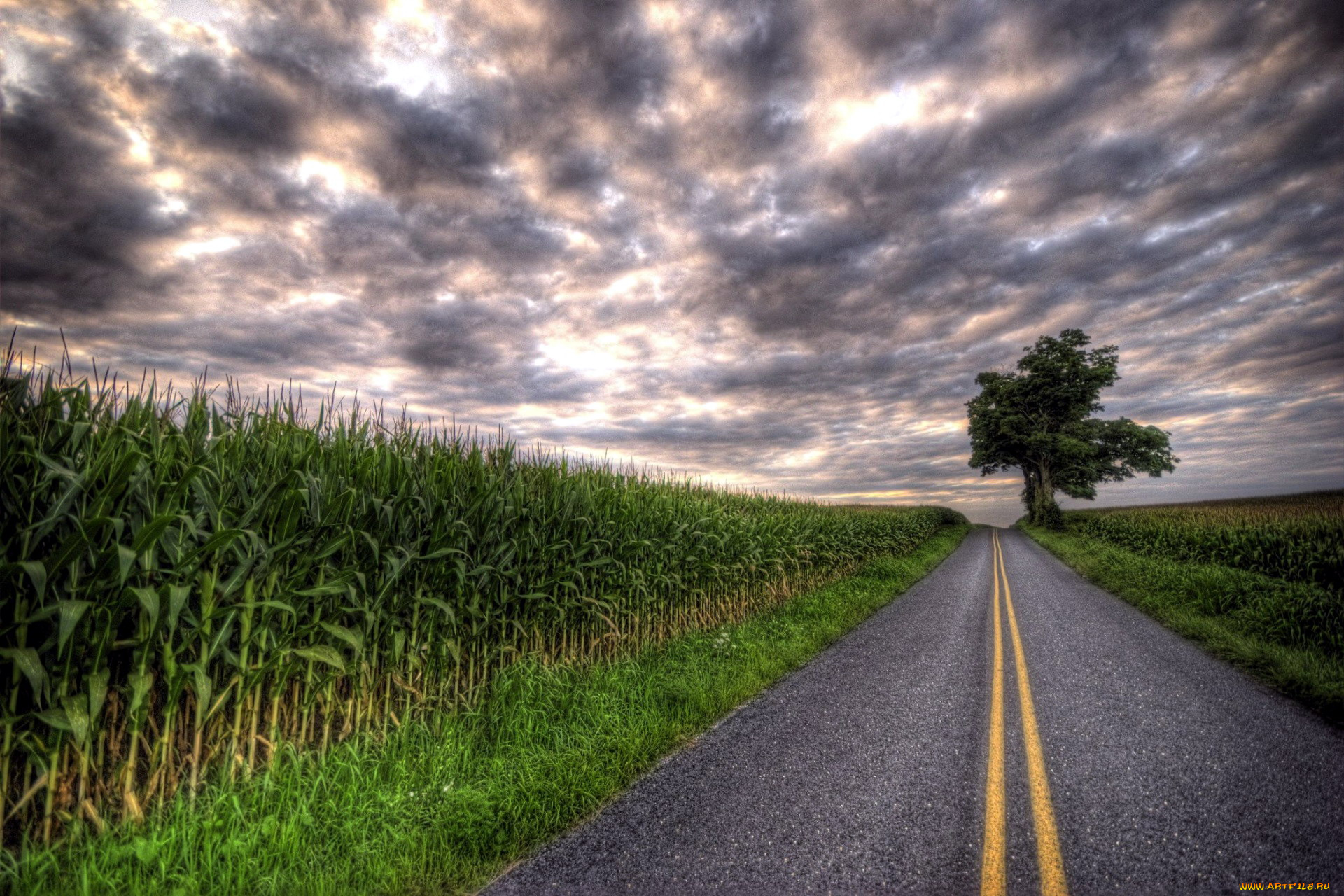 природа, дороги, шоссе