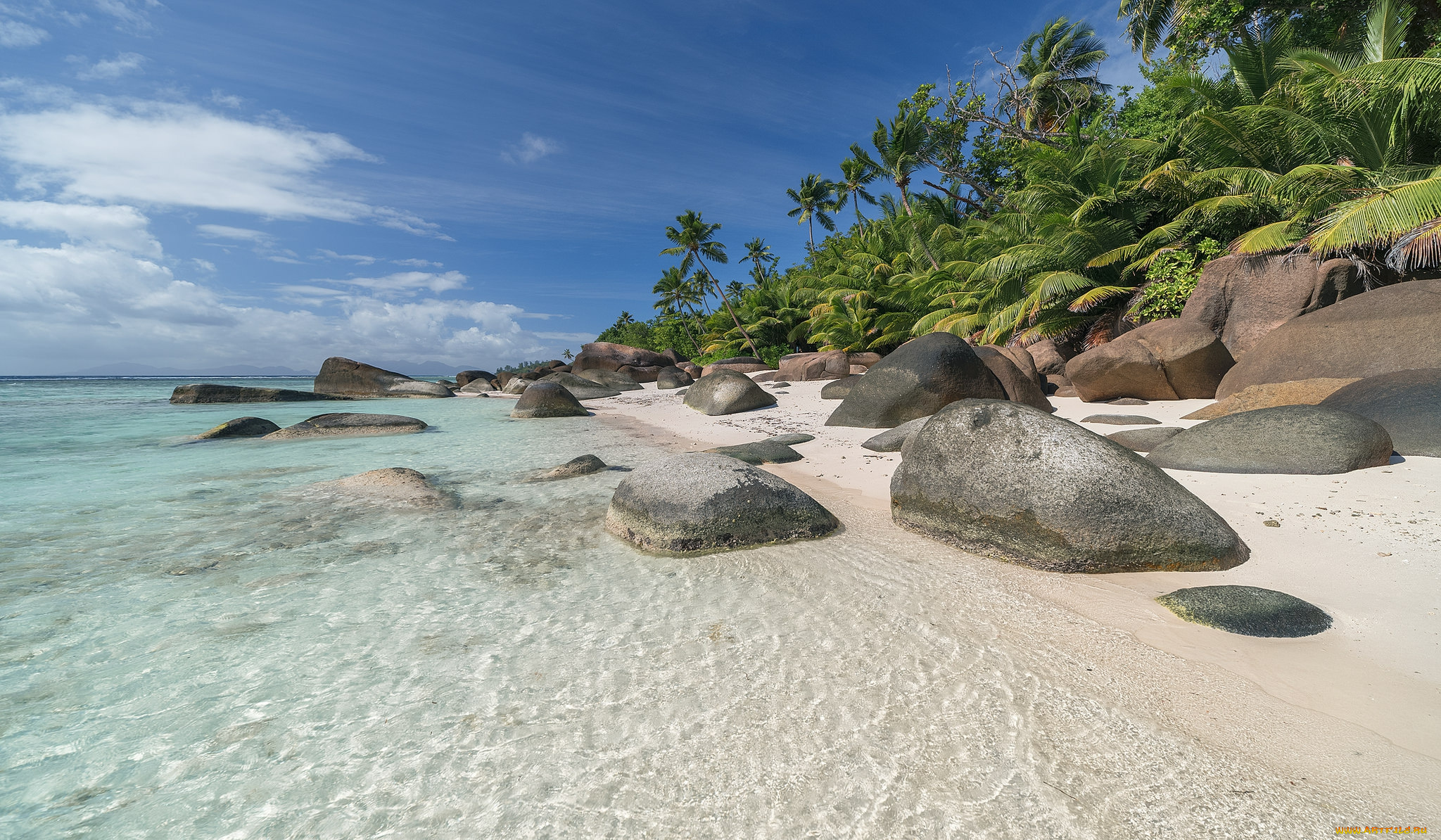 природа, тропики, простор