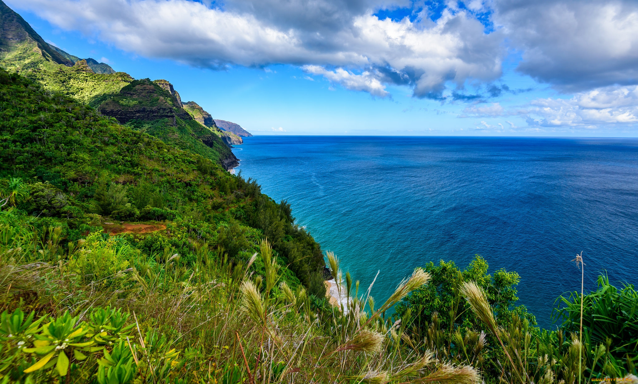 природа, побережье, простор