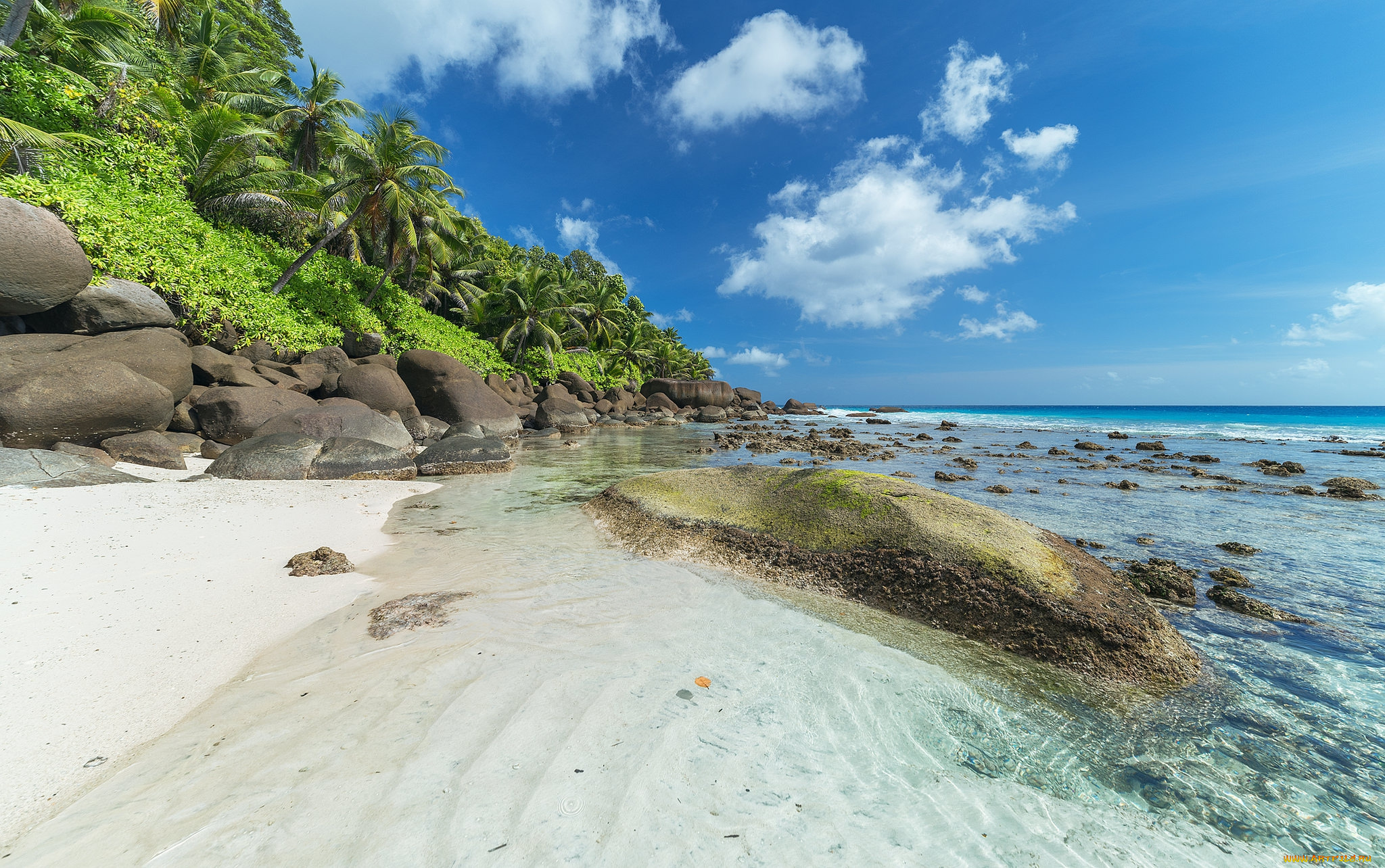 природа, тропики, простор