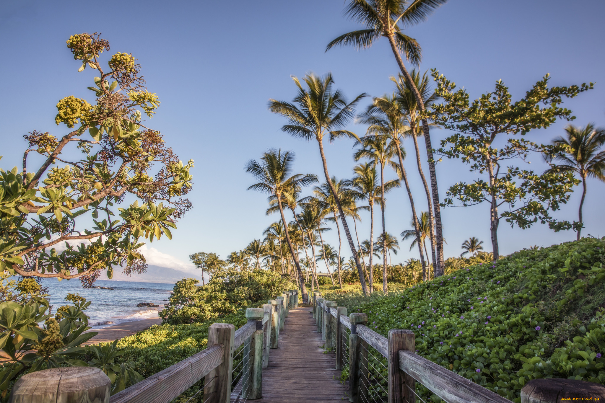 природа, дороги, простор