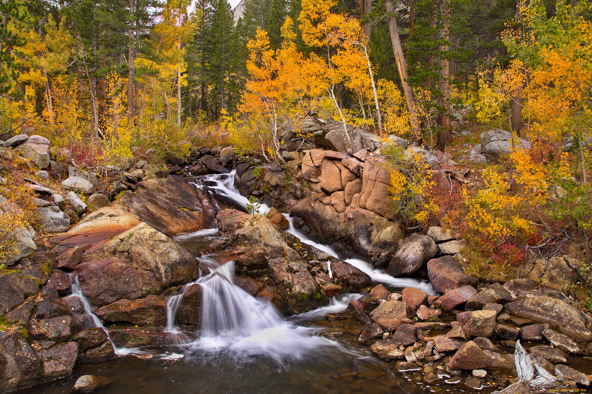 природа, реки, озера, простор