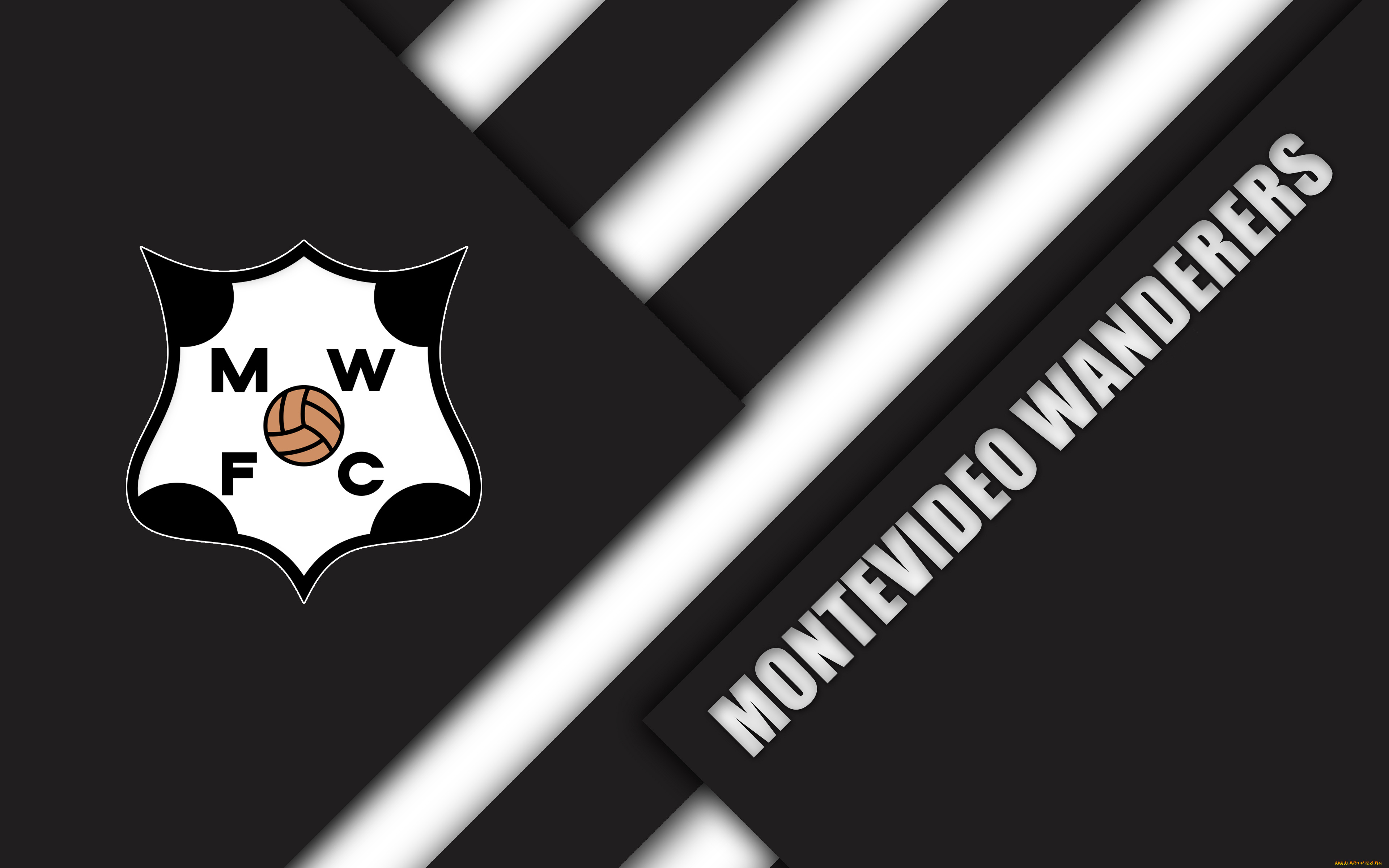 спорт, эмблемы, клубов, цвета, линии, логотип, фон, полосы