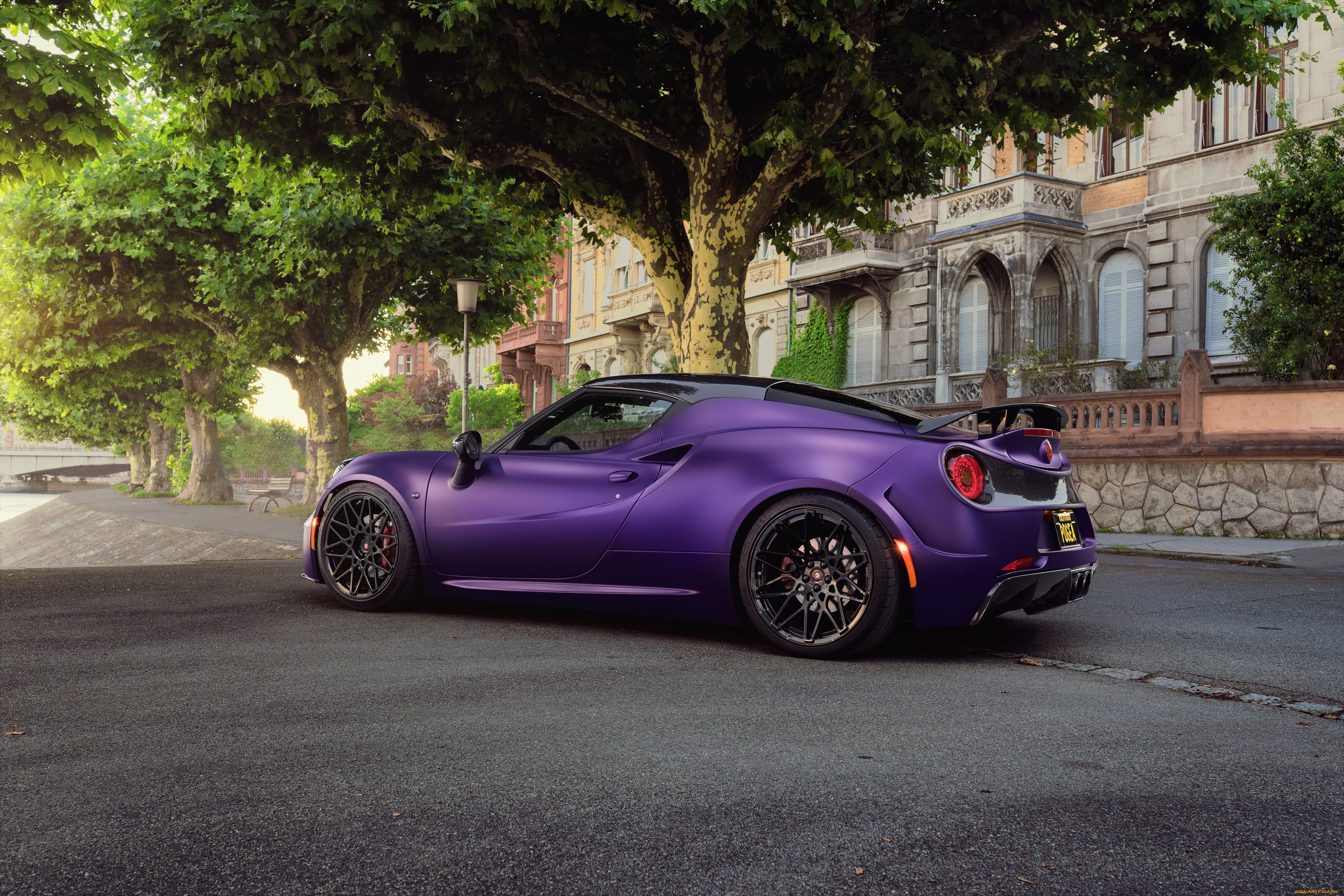 автомобили, alfa, romeo, pogea, racing