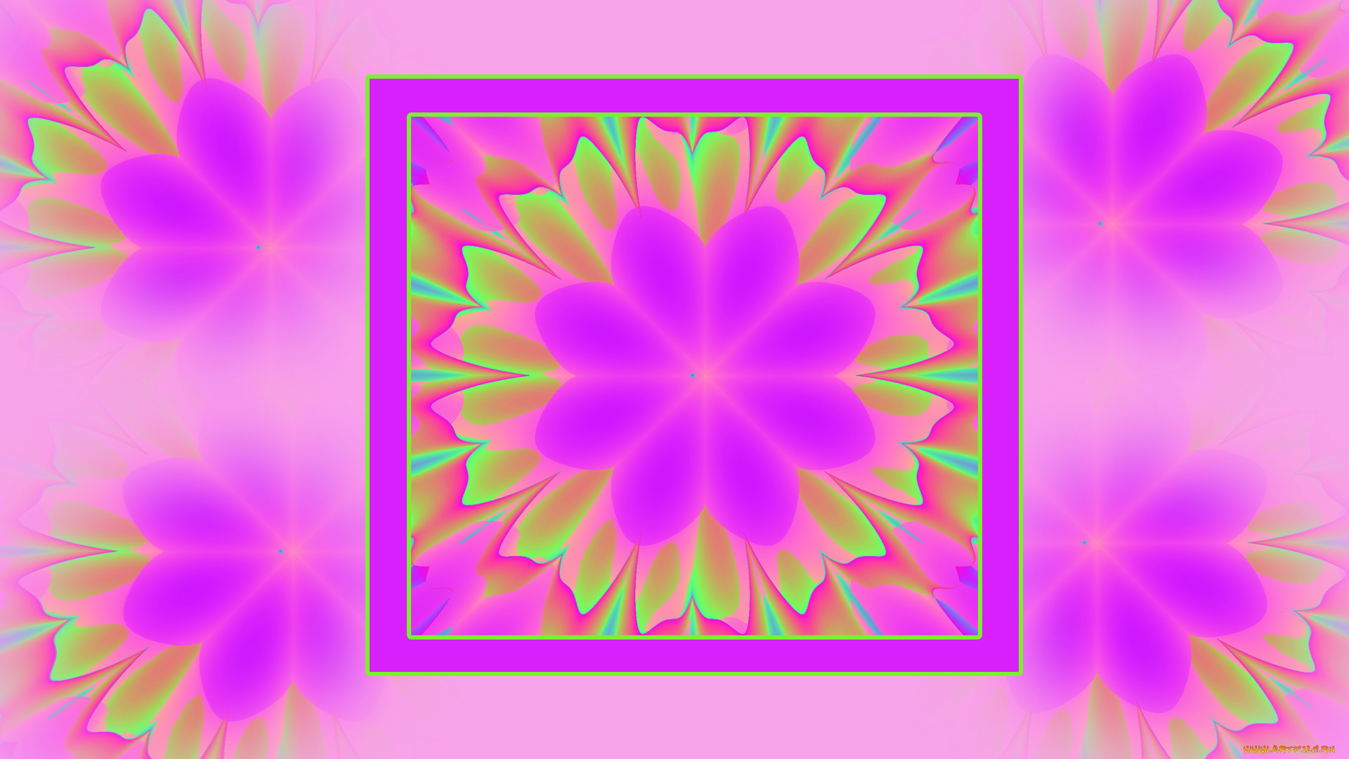 векторная, графика, цветы, , flowers, лепестки, фон, цветы