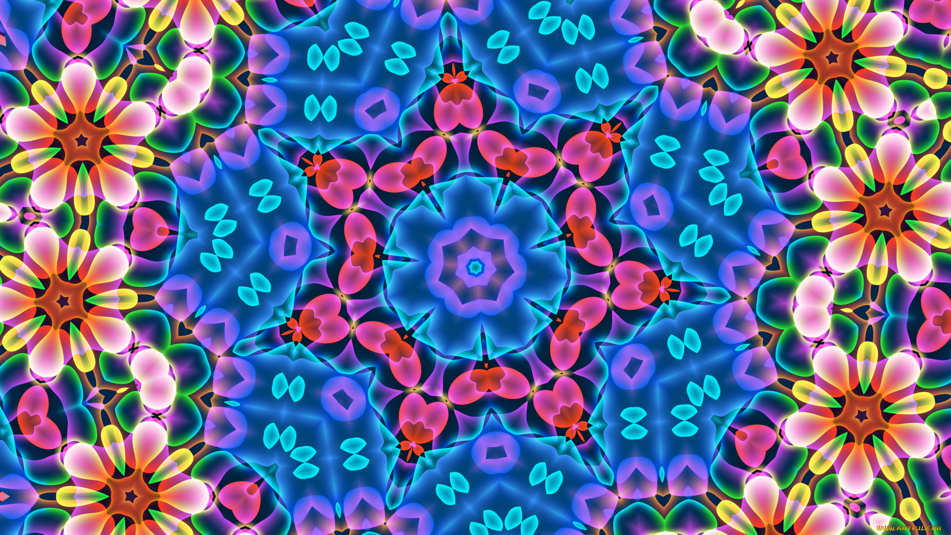 векторная, графика, цветы, , flowers, лепестки, фон, цветы