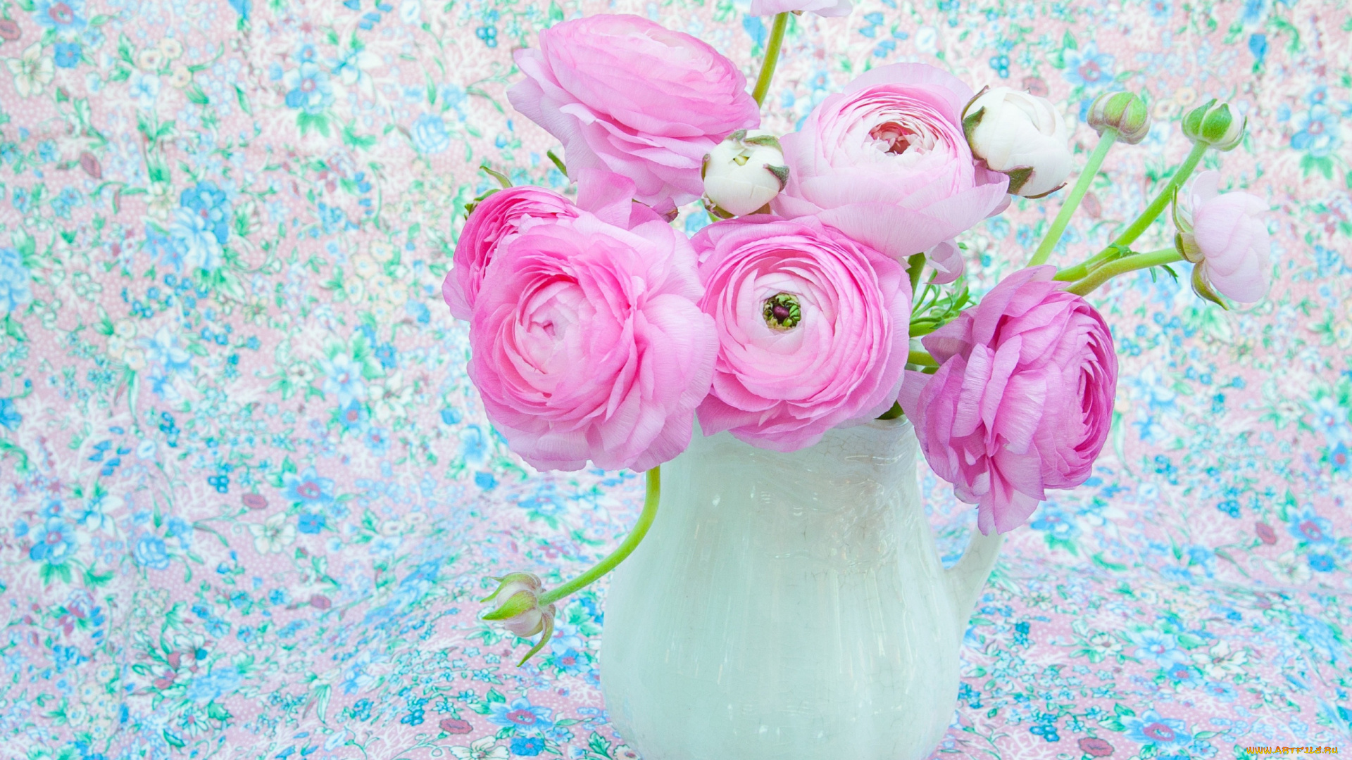 цветы, ранункулюс, , азиатский, лютик, фон, розовые, кувшин, бутоны, ранункулюсы