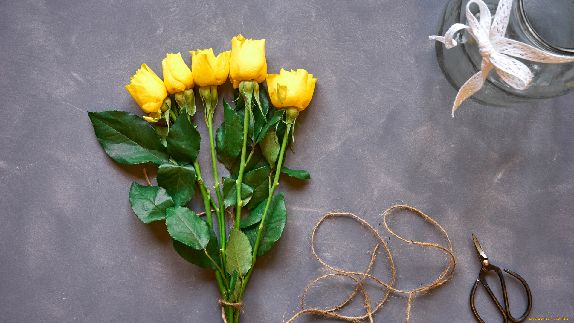 цветы, розы, бутоны, желтые, фон, ножницы