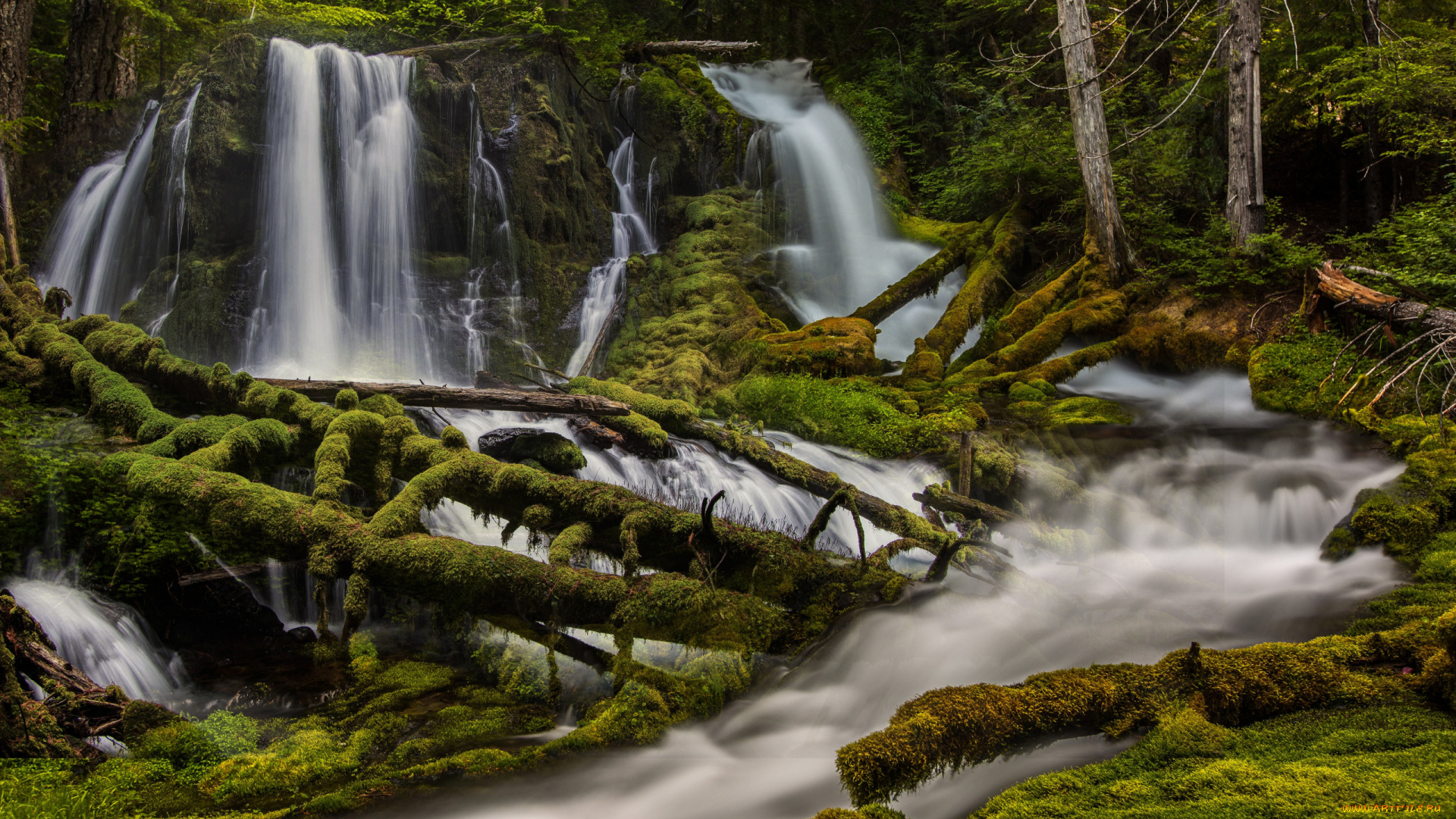 природа, водопады, лес, река, мох, washington, state, скамейния, штат, вашингтон, skamania, county, big, creek, falls