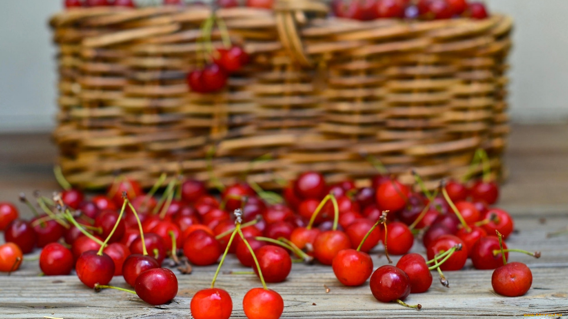 еда, вишня, , черешня, корзина, черешня, ягоды
