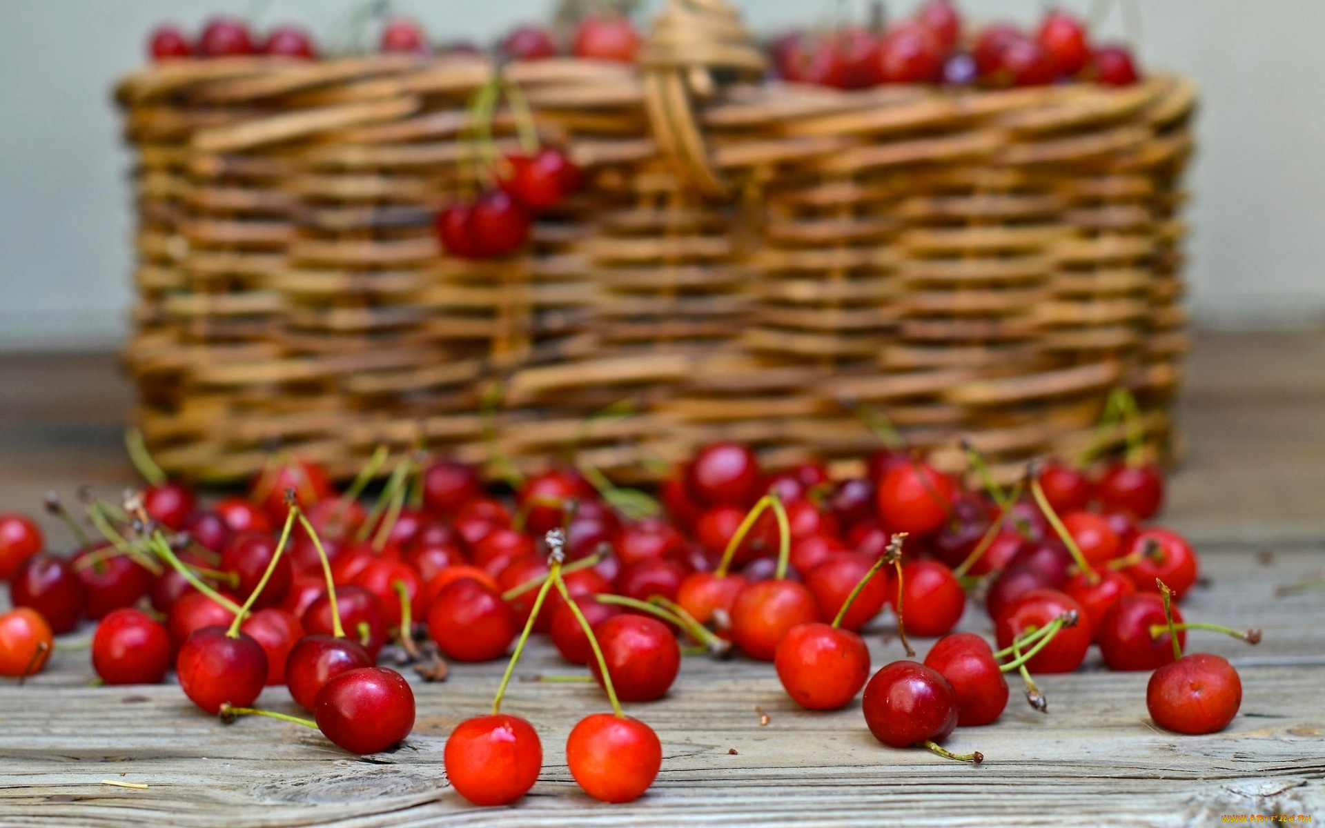 еда, вишня, , черешня, корзина, черешня, ягоды