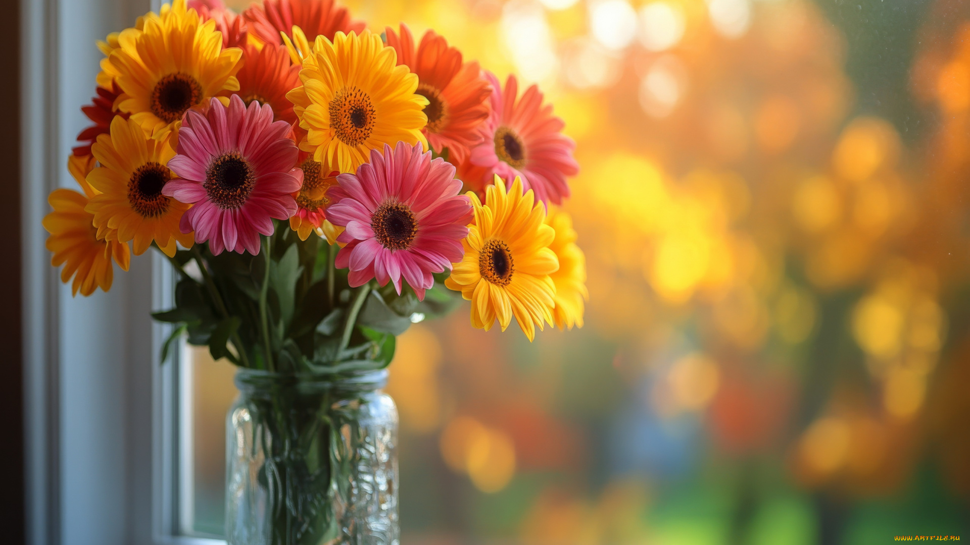 3д, графика, цветы, , flowers, герберы