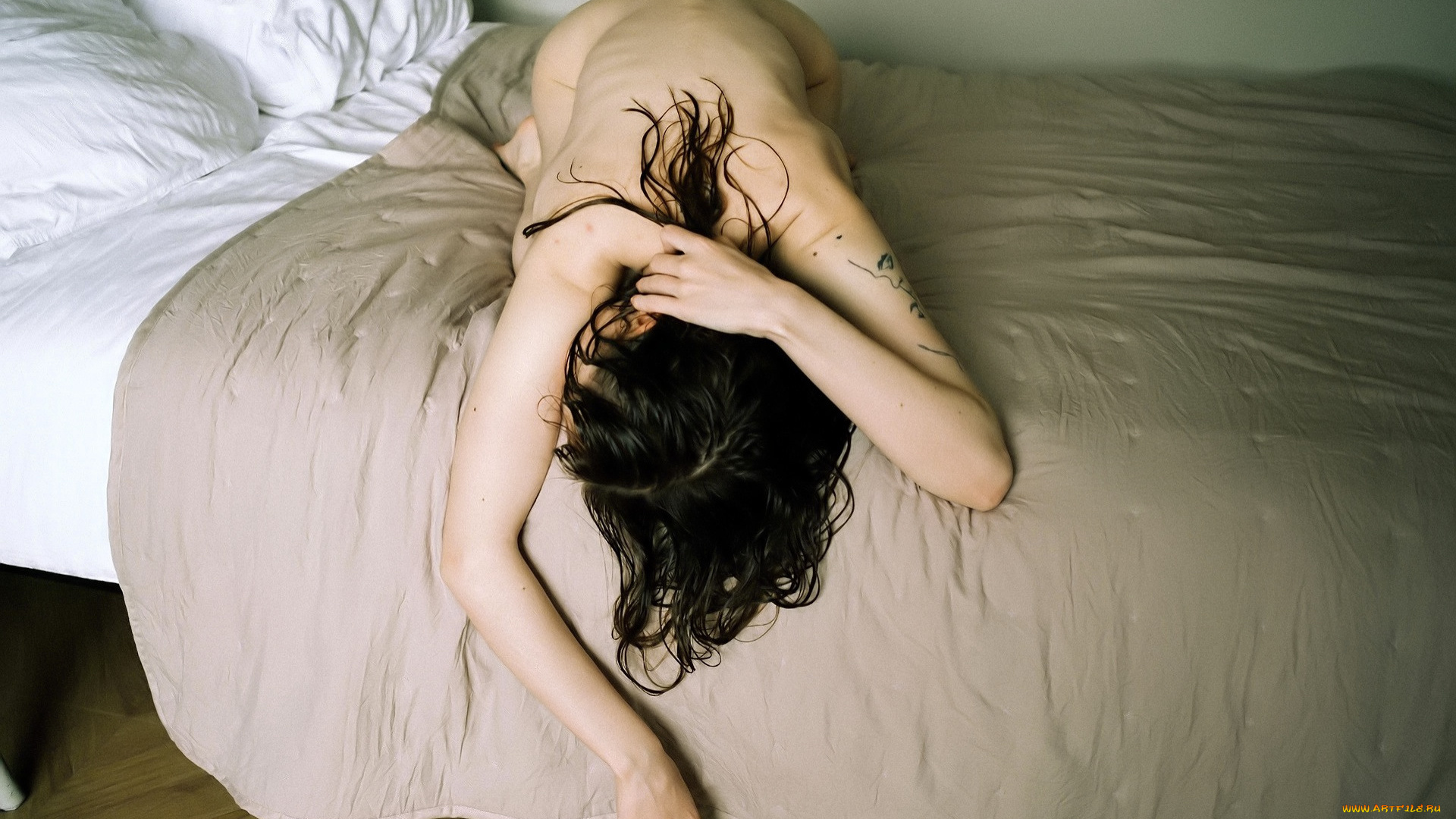 девушки, -, брюнетки, , шатенки, брюнетка, тату, спина, постель