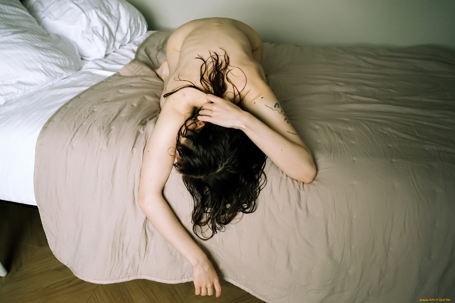 девушки, -, брюнетки, , шатенки, брюнетка, тату, спина, постель