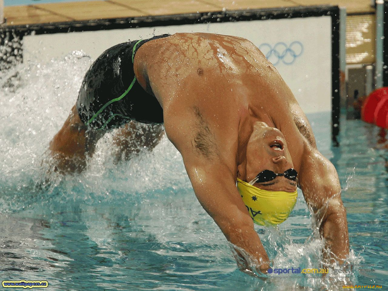 спорт, плавание