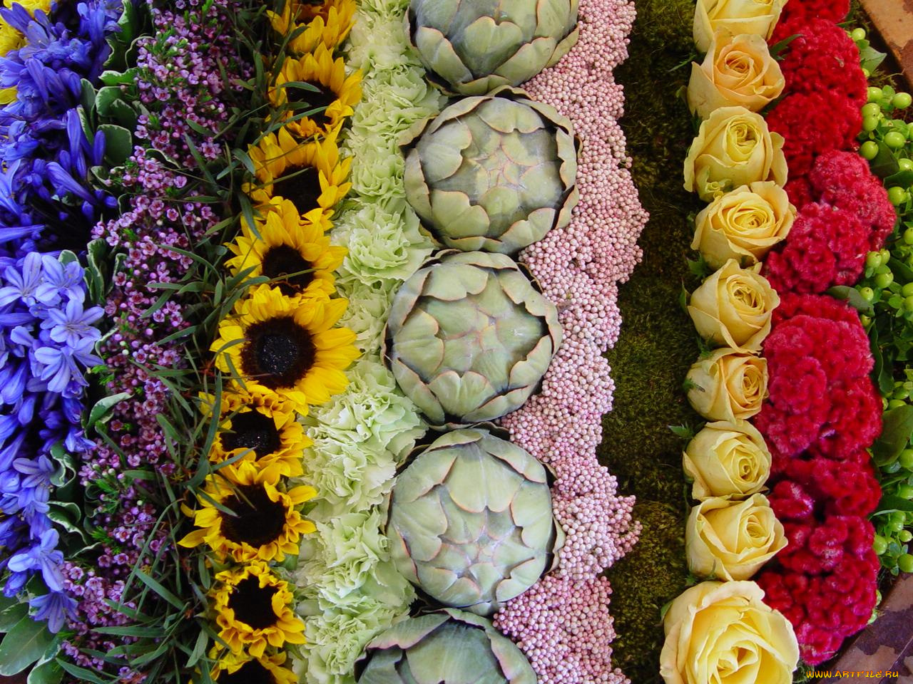 цветы, разные, вместе
