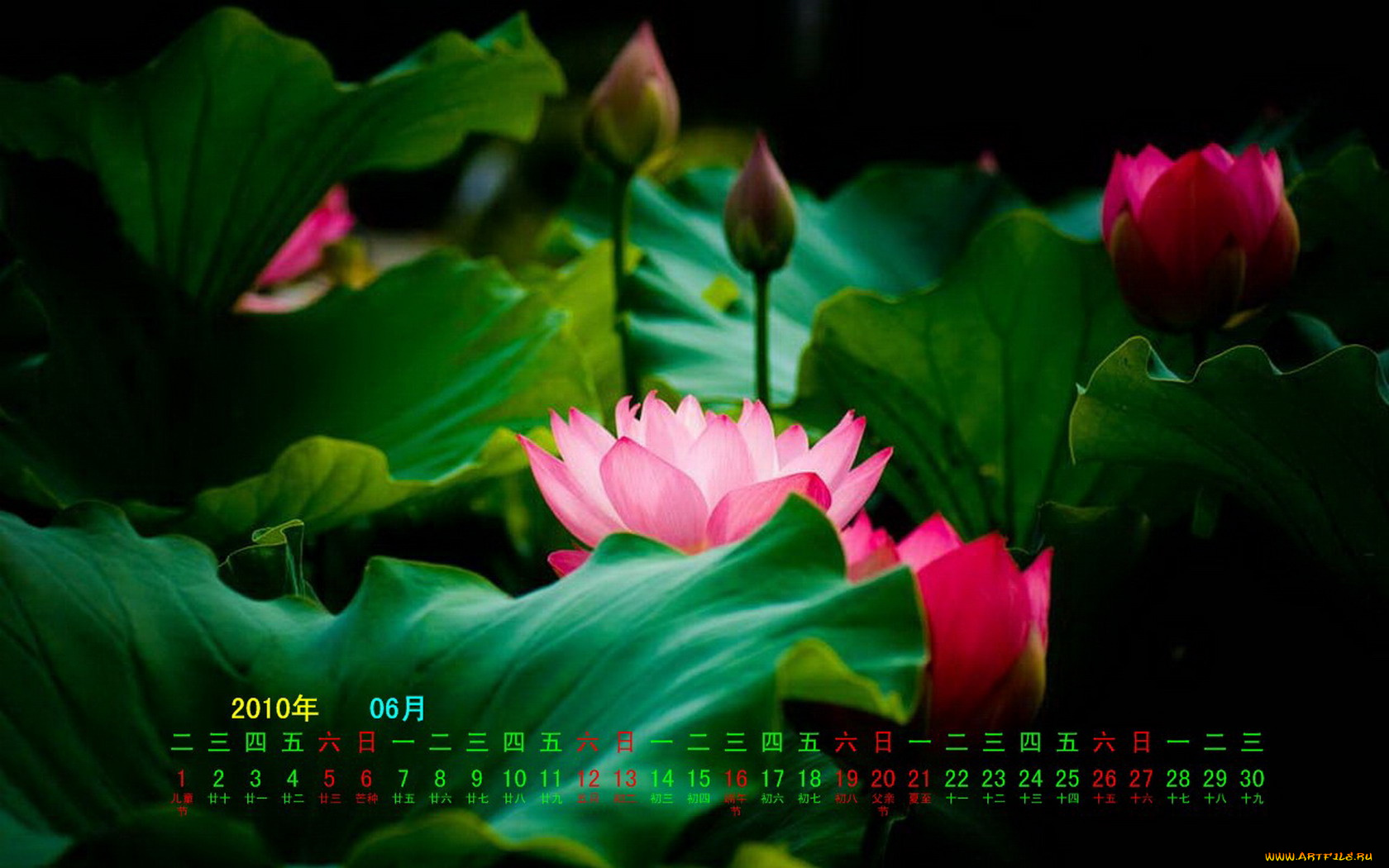 календари, цветы