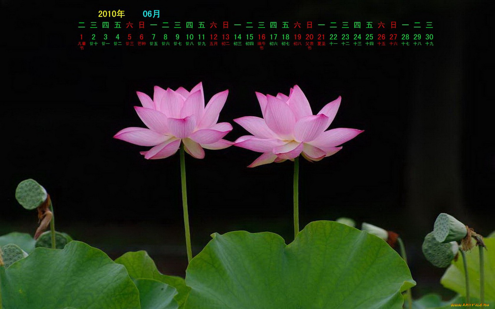 календари, цветы