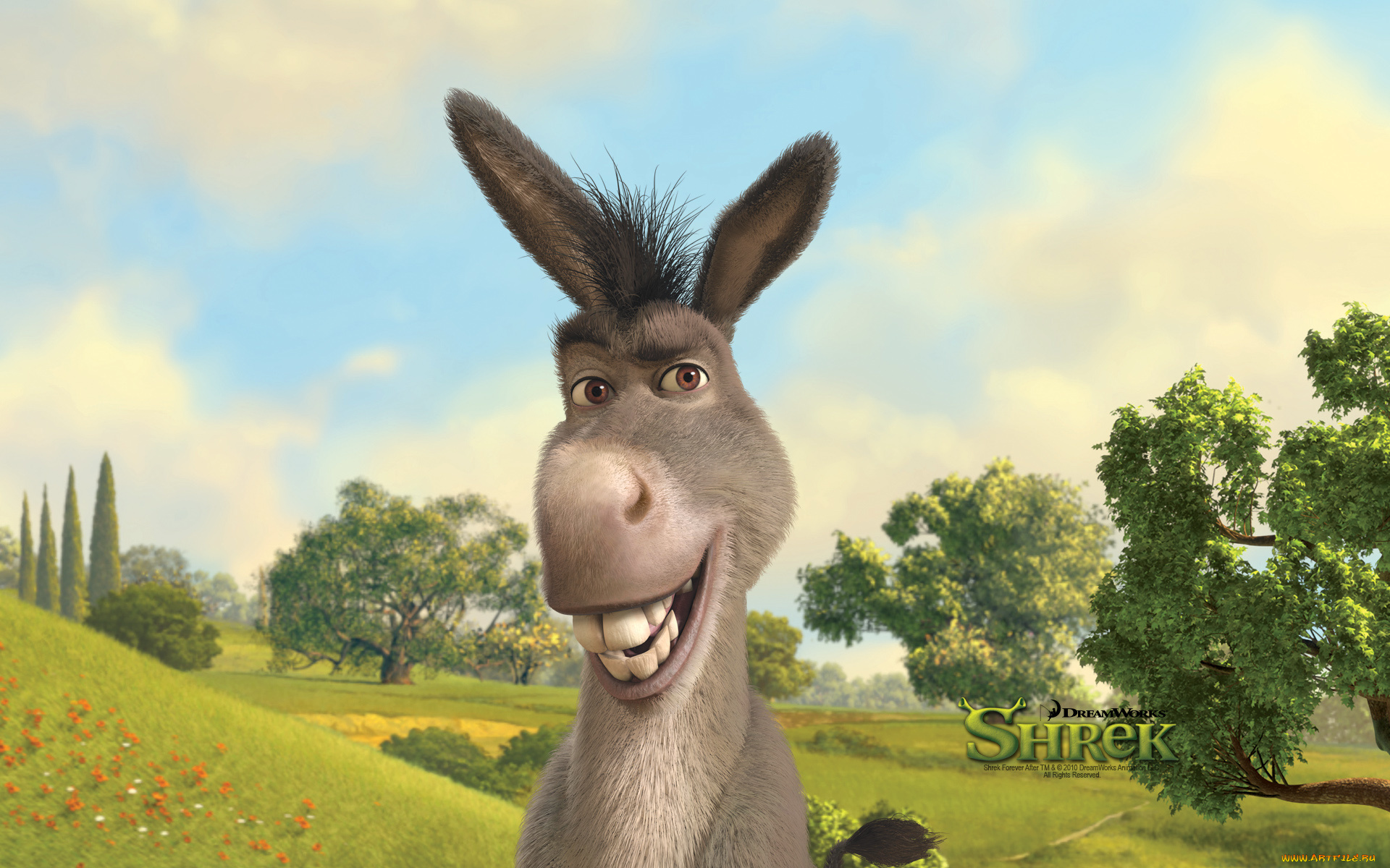 мультфильмы, shrek, forever, after