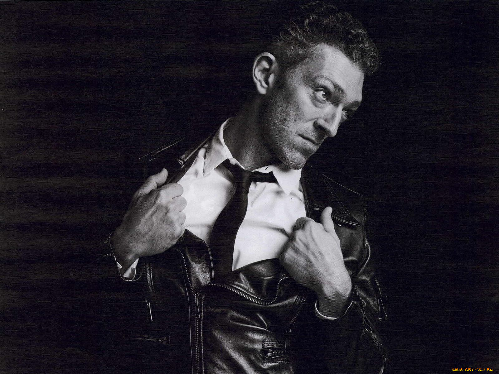 мужчины, vincent, cassel