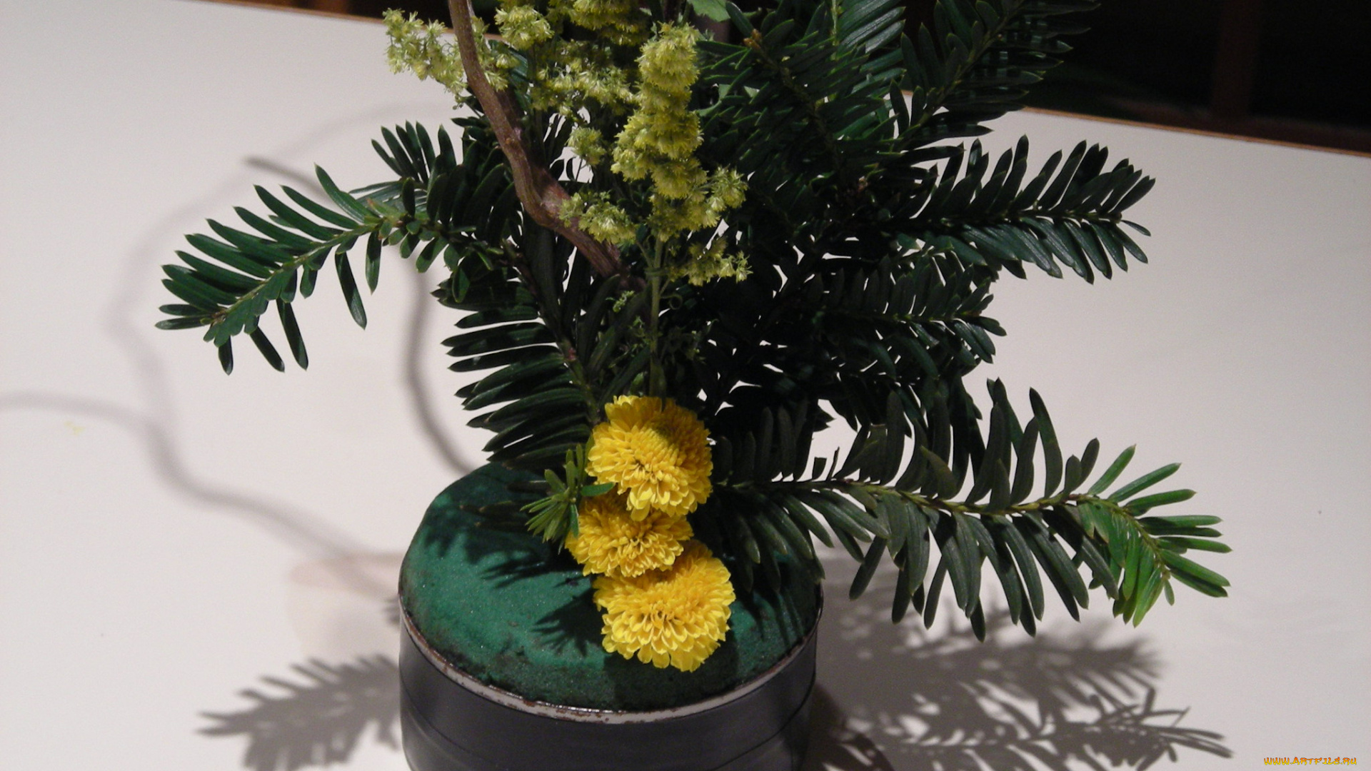 цветы, букеты, композиции