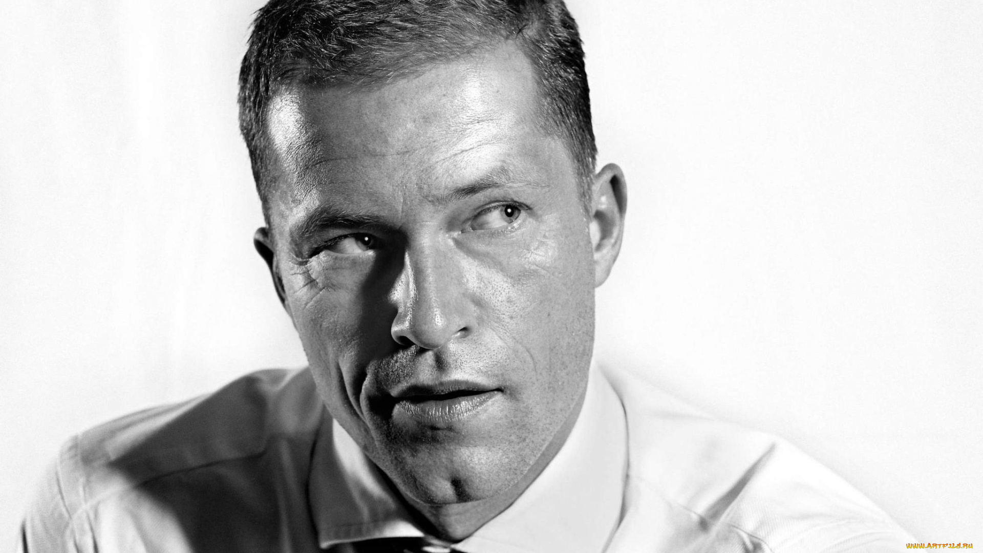 мужчины, til, schweiger