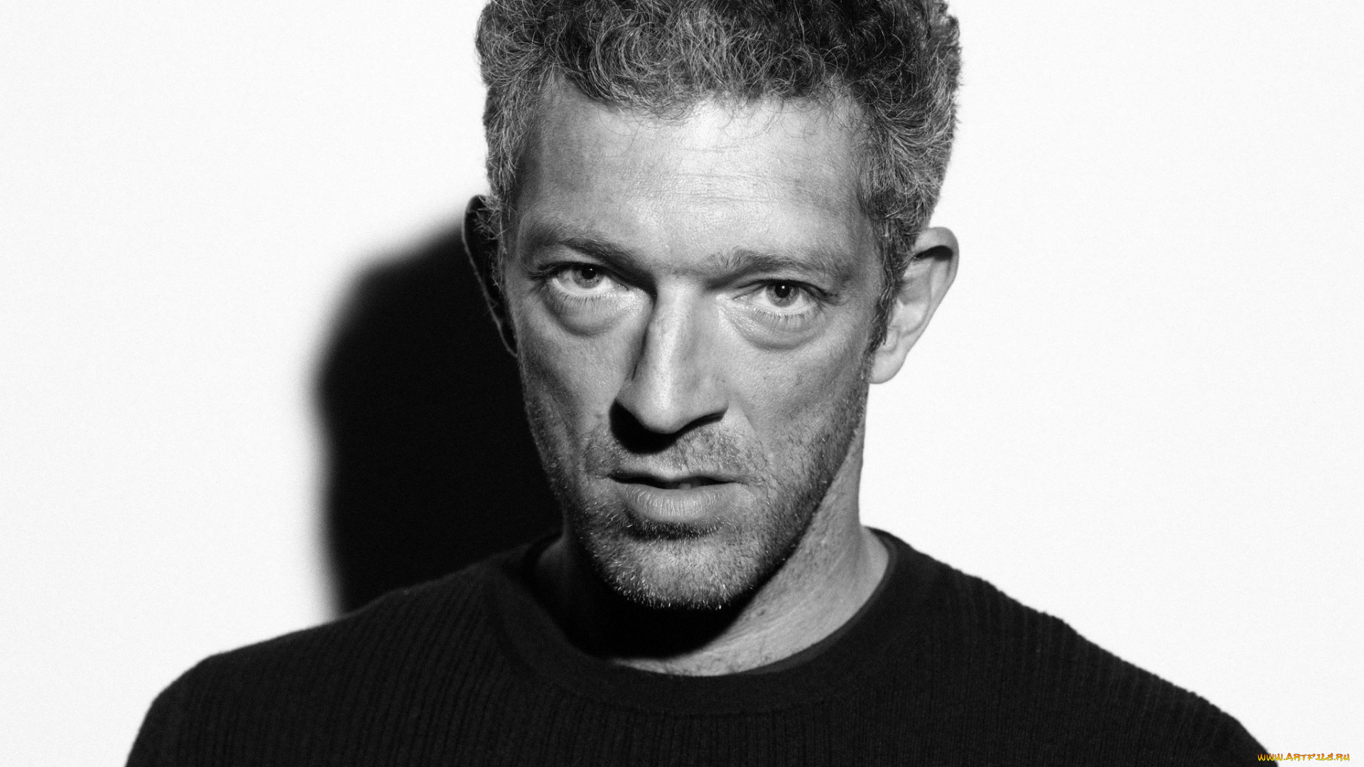 мужчины, vincent, cassel