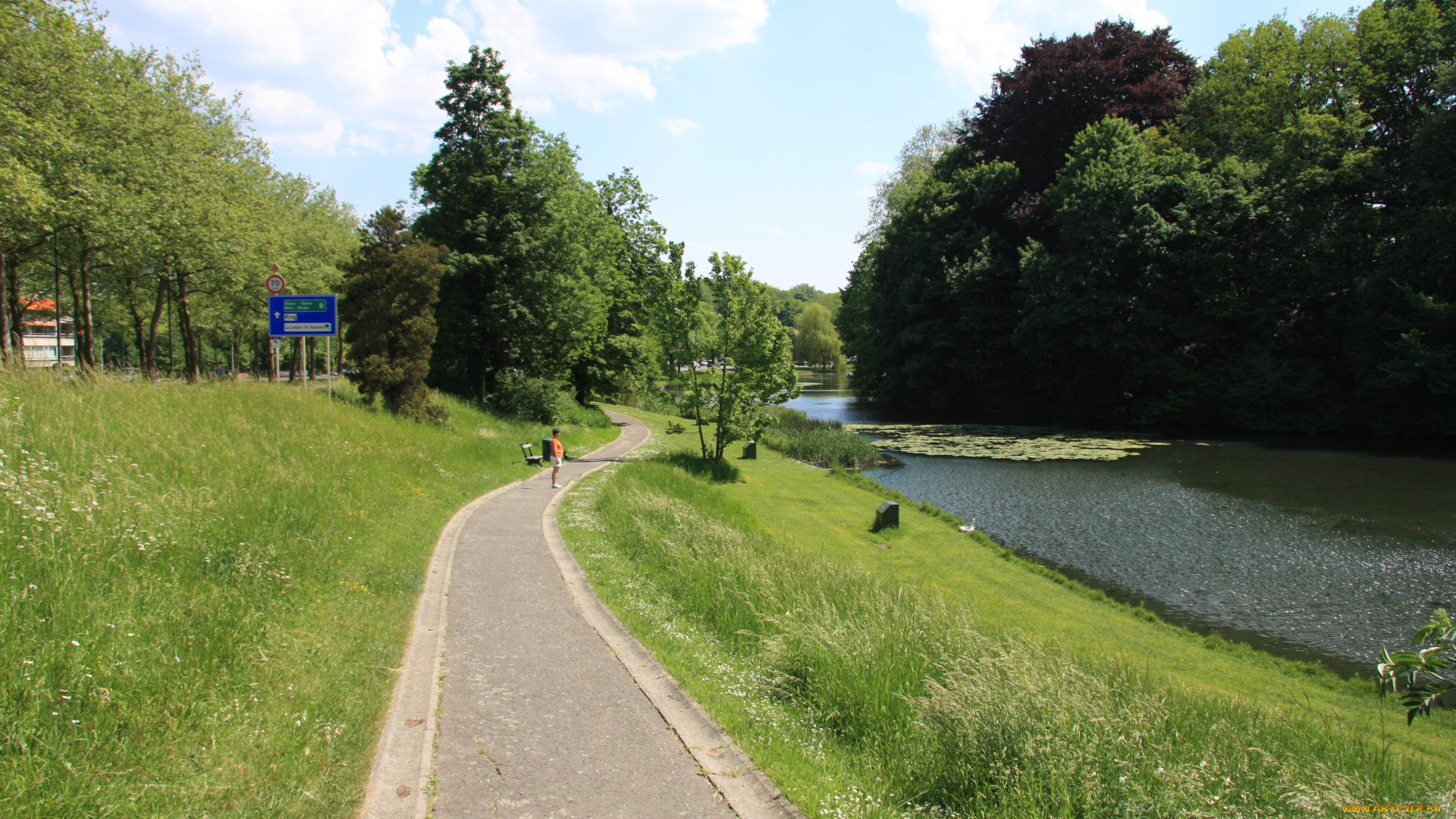 природа, парк