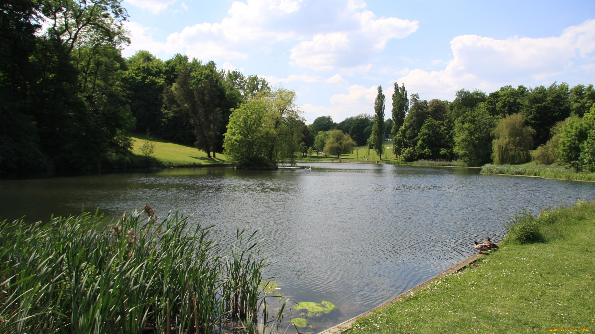 природа, парк