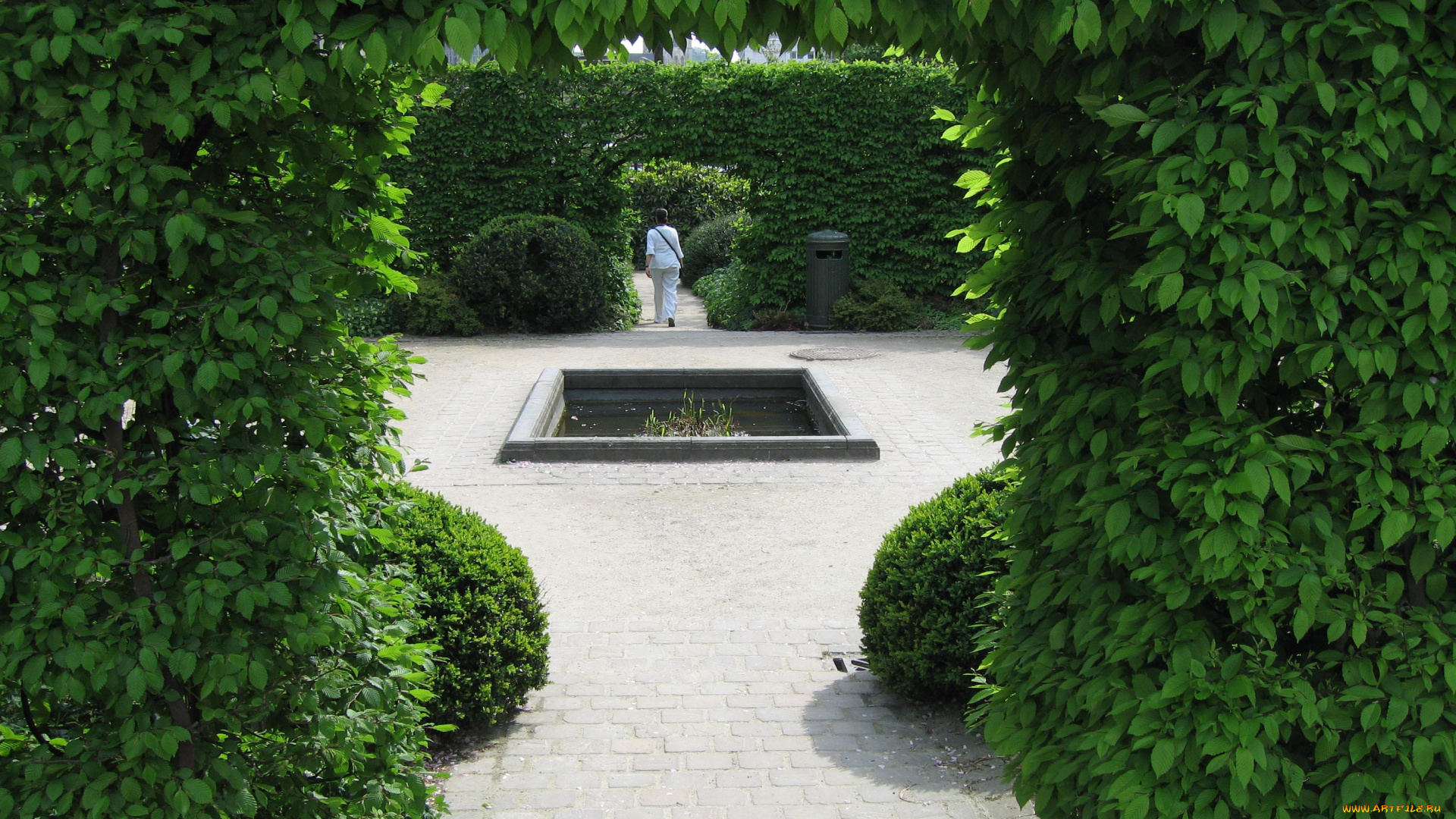 природа, парк