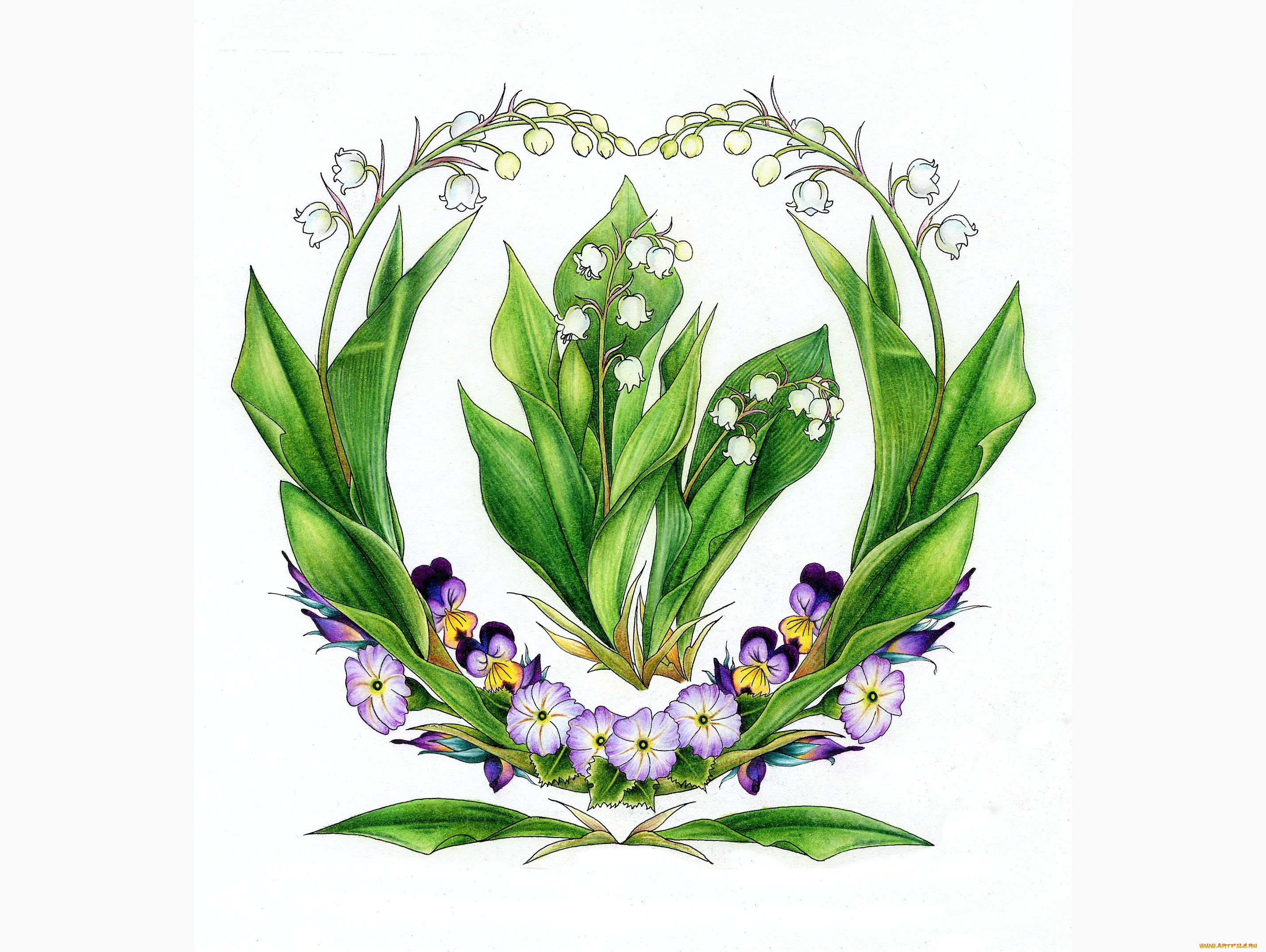 рисованные, цветы