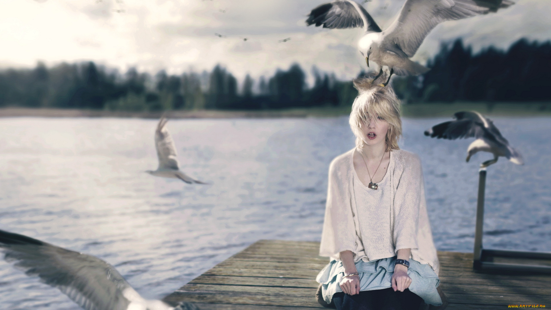 -Unsort, Креатив, девушки, unsort, креатив, чайки, ситуация