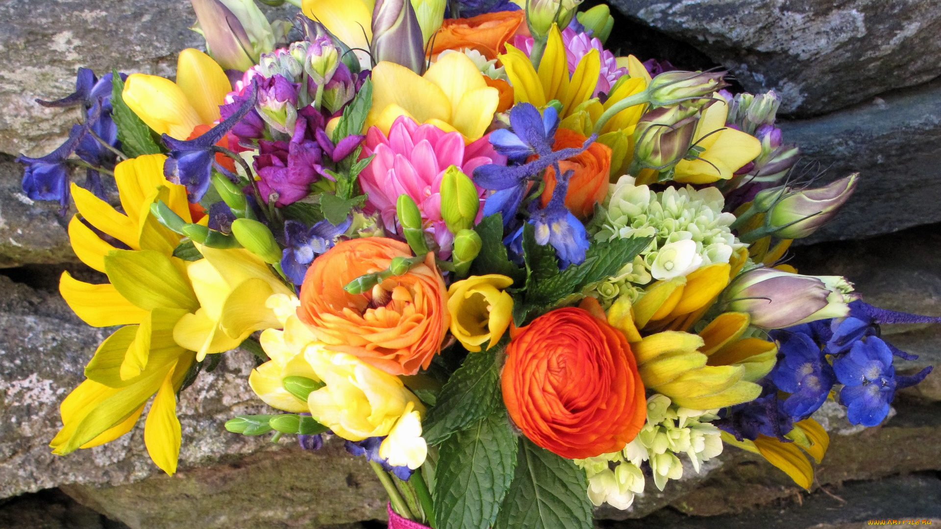 цветы, букеты, композиции, бутоны