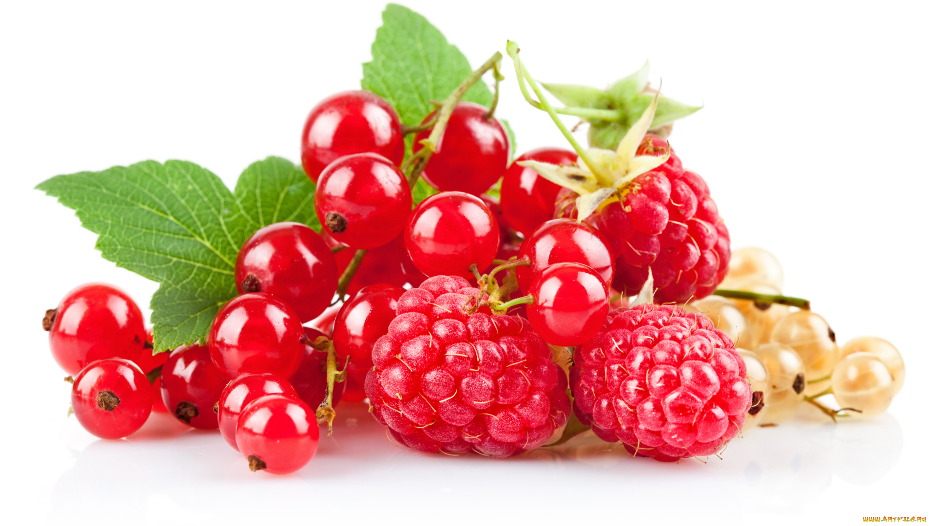 еда, фрукты, ягоды, белая, смородина, красная, малина