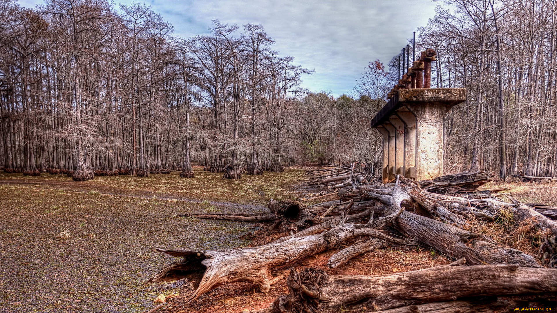 природа, другое, деревья, небо, опоры