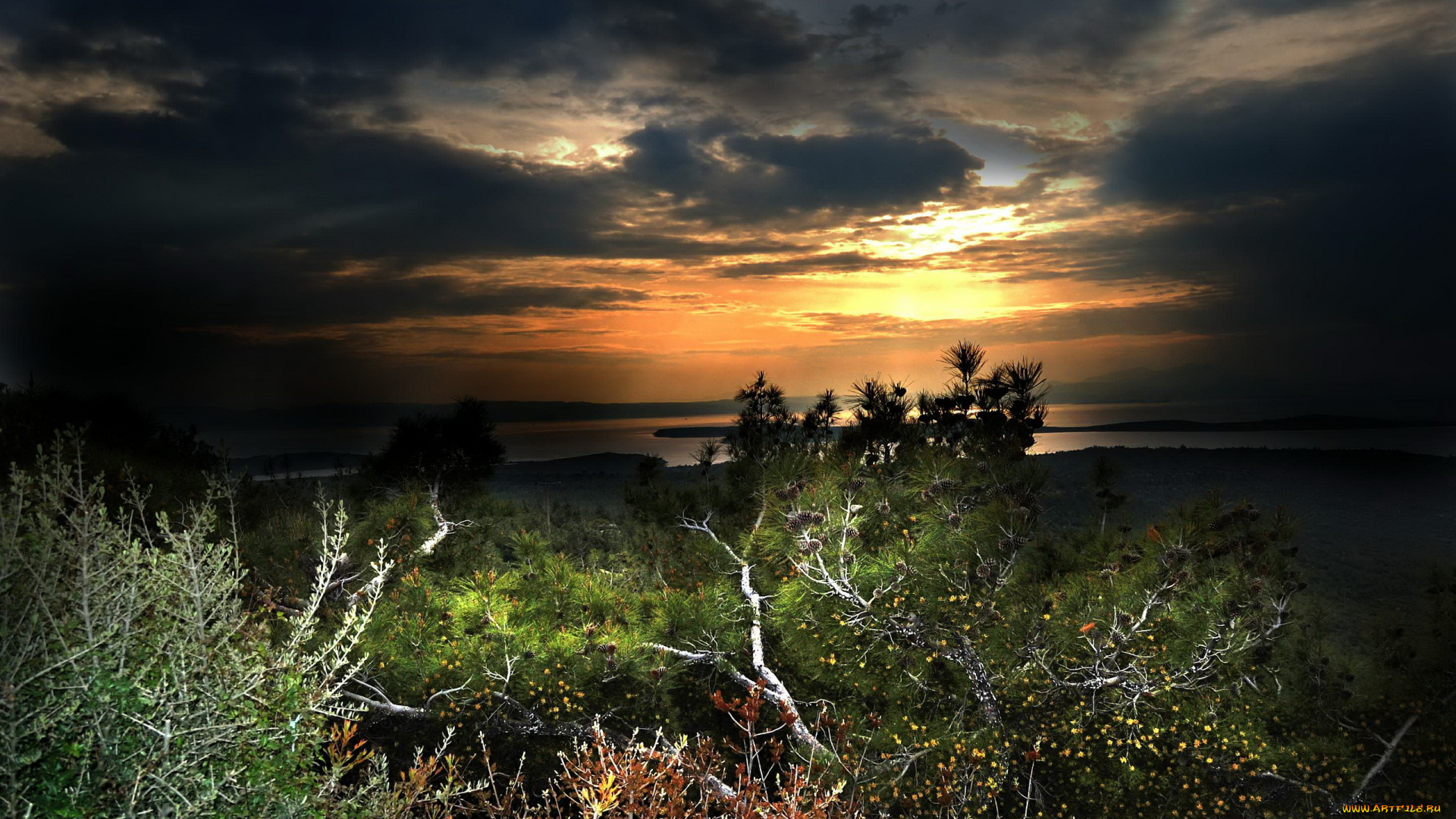 природа, восходы, закаты, небо, кустарник, ночь, море