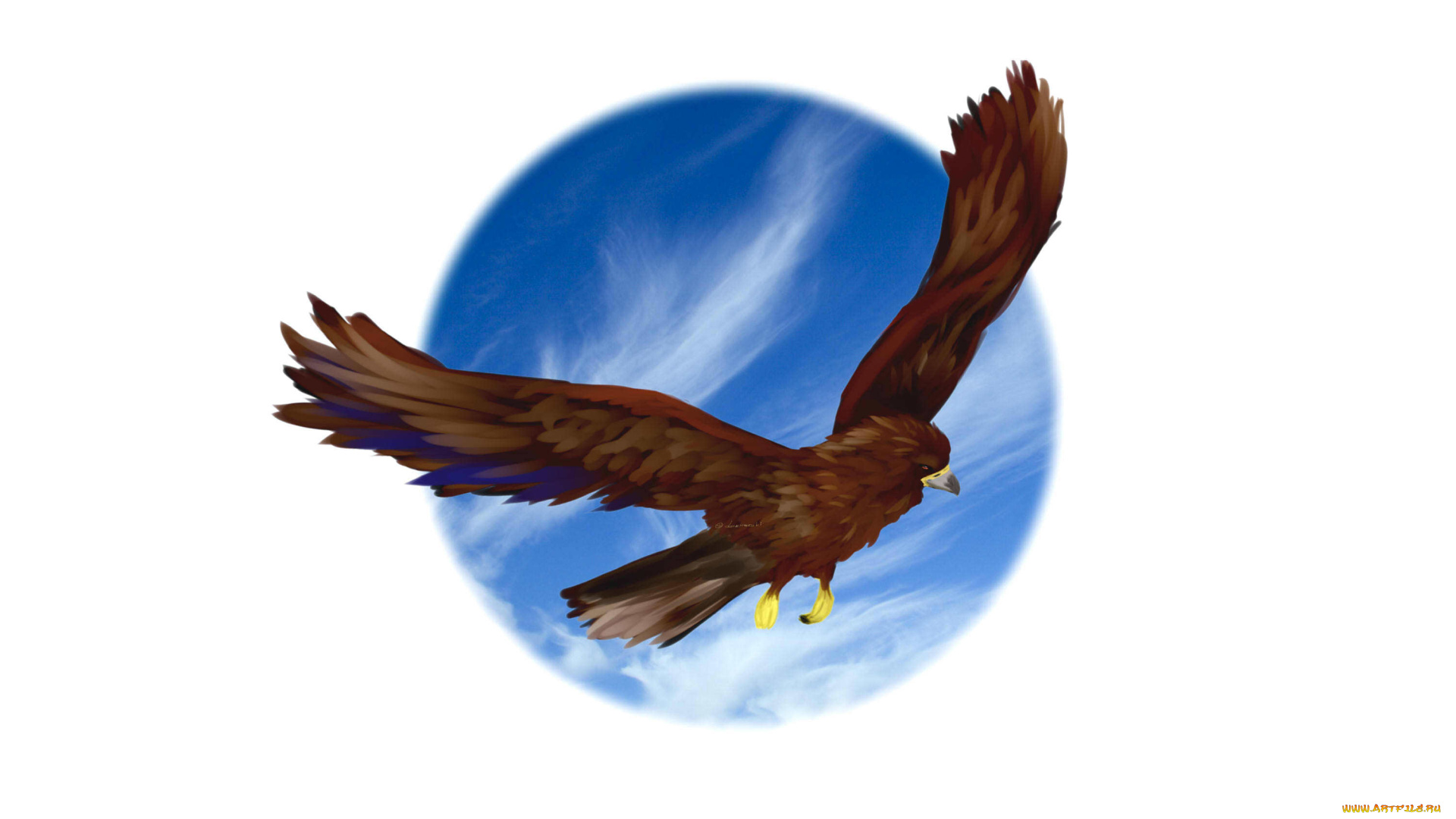 рисованные, животные, птицы, орлы, полет, небо, орел, беркут