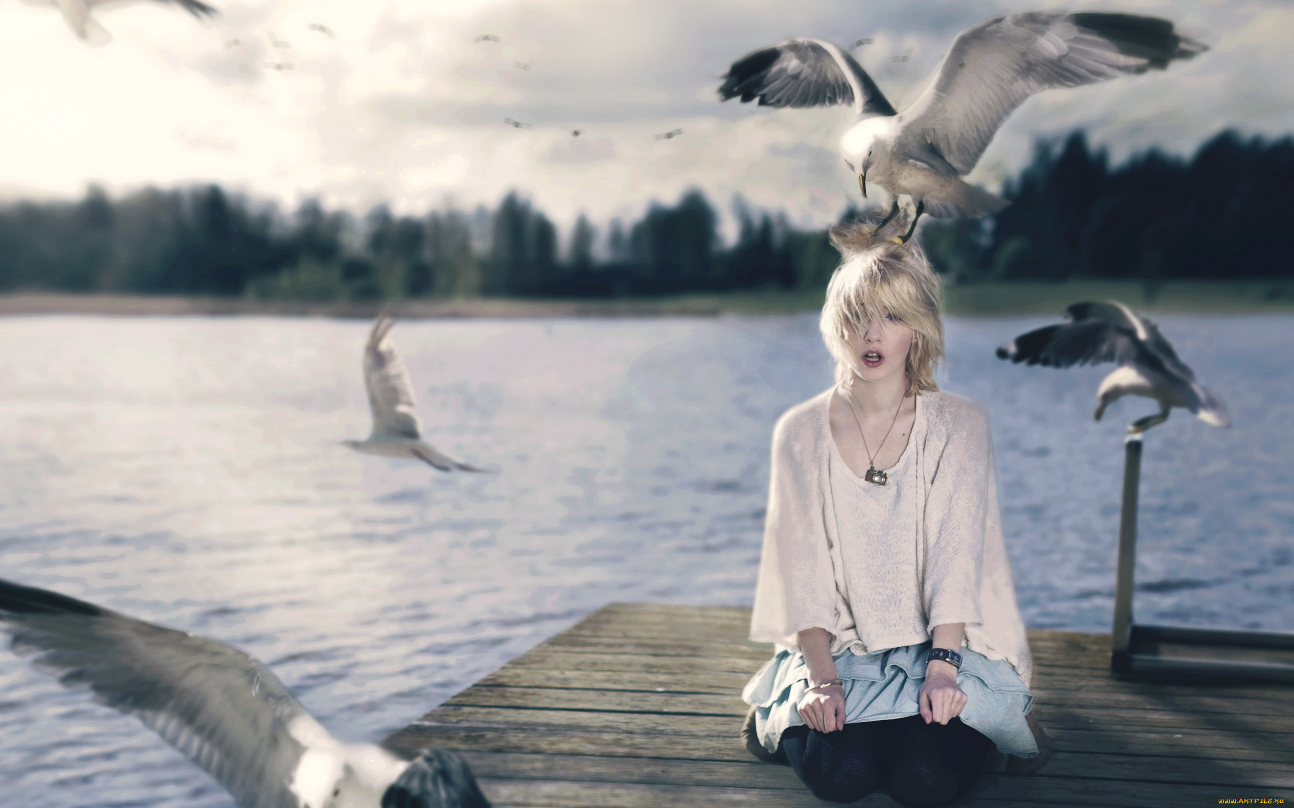 -Unsort, Креатив, девушки, unsort, креатив, чайки, ситуация