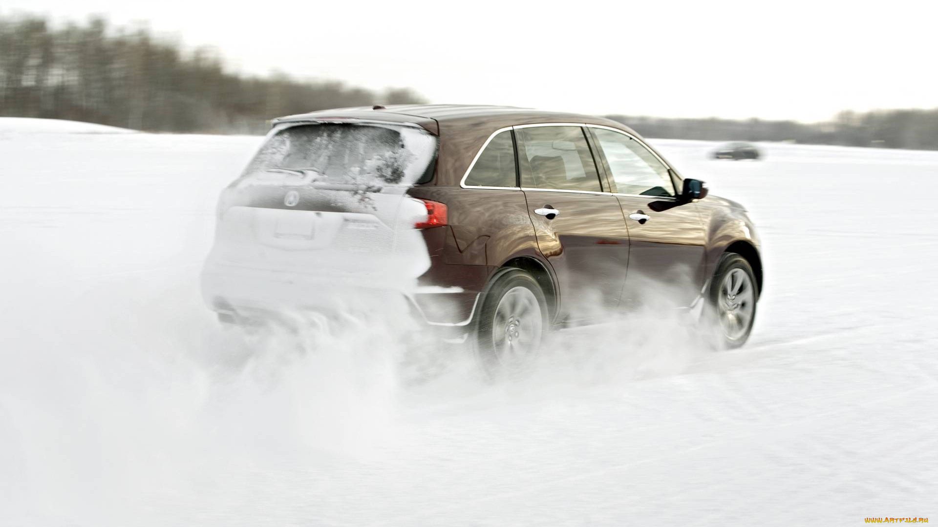 автомобили, acura