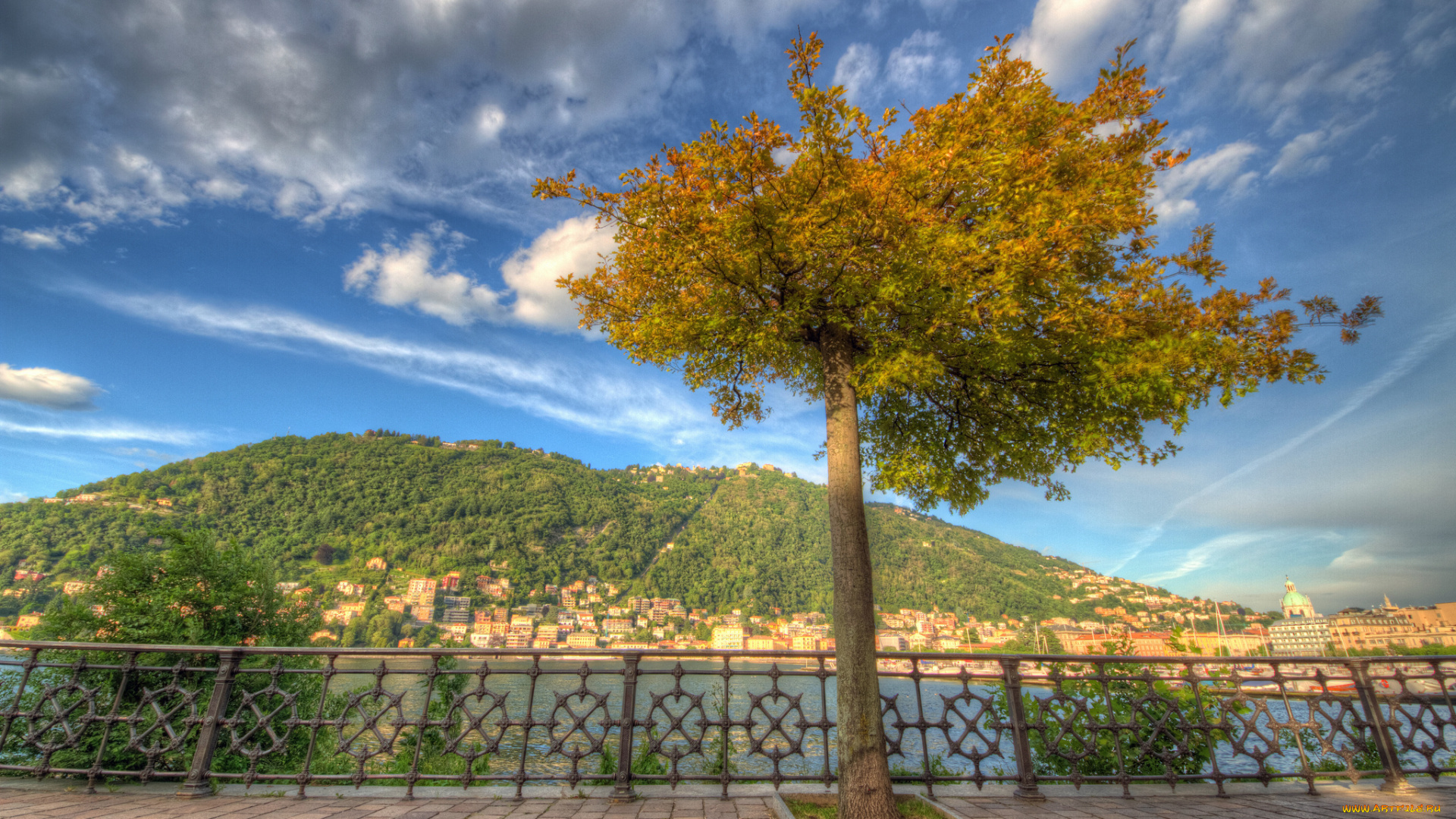 como, lombardy, italy, города, улицы, площади, набережные, дерево, lake, комо, ломбардия, италия, озеро