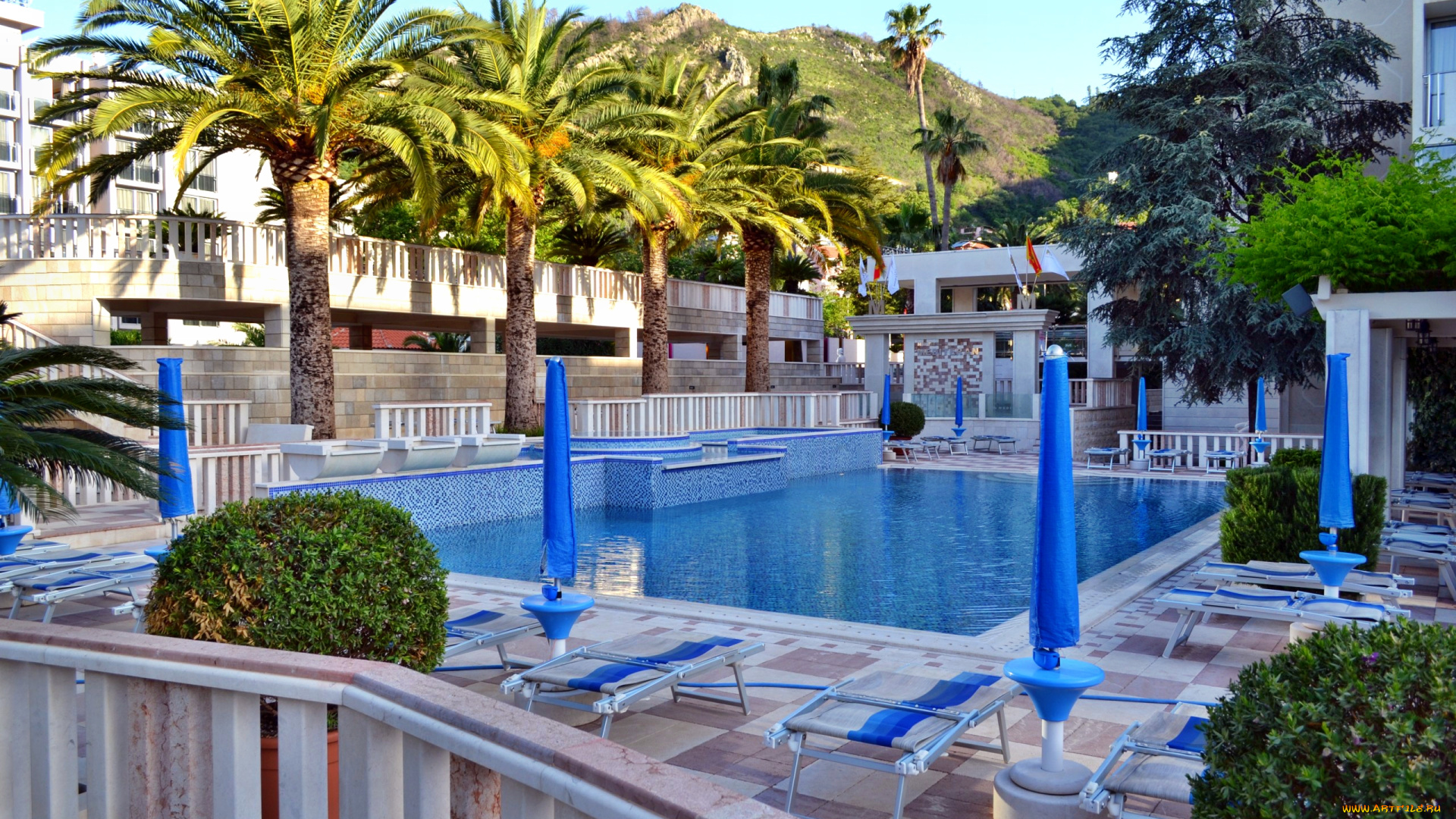 отель, медитеран, интерьер, бассейны, открытые, площадки, бассейн, шесзлонги, пальмы, Черногория