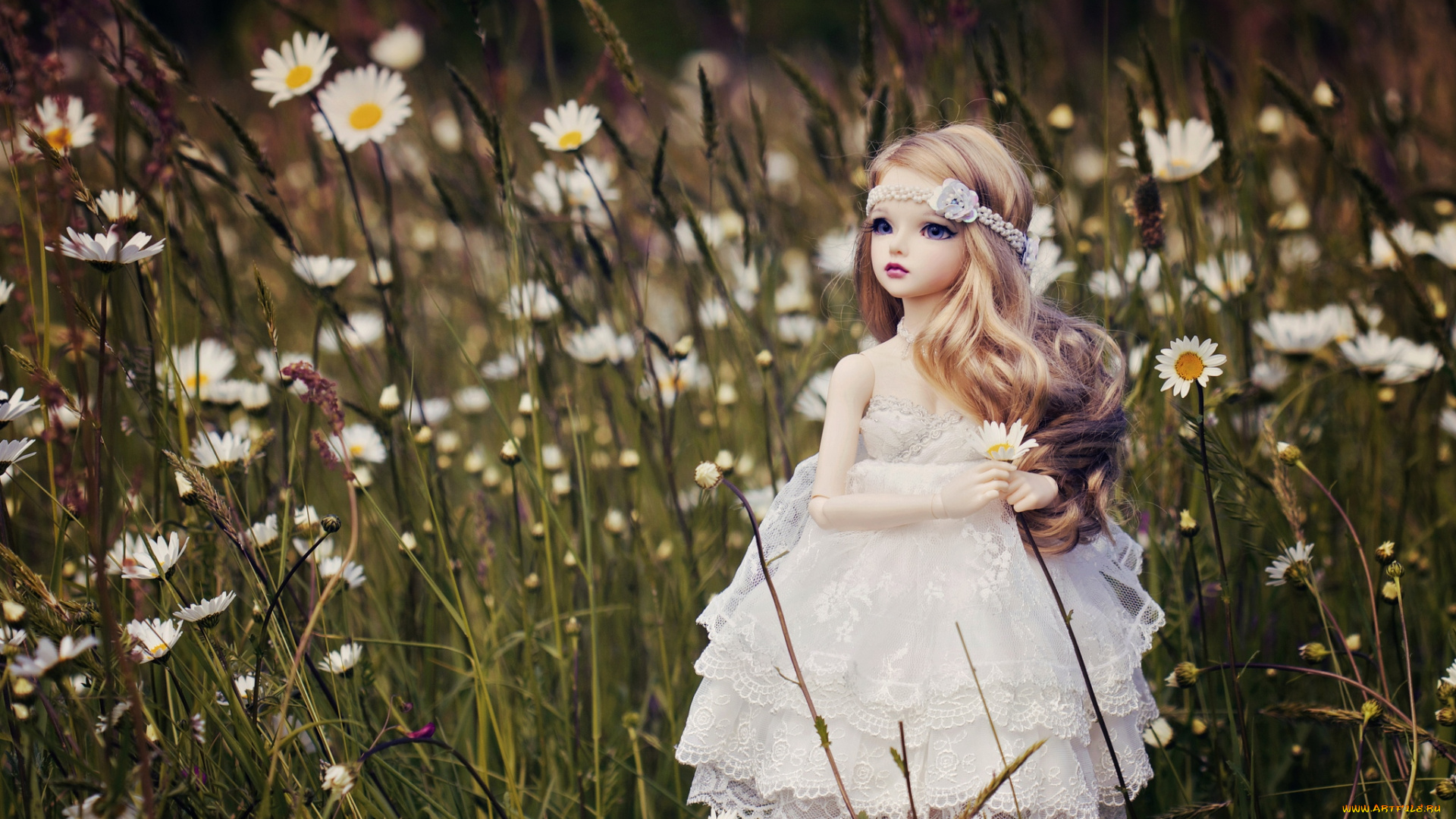 разное, игрушки, луг, кукла, барышня