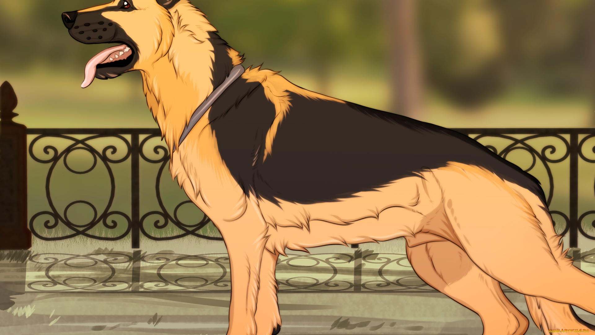 рисованные, животные, , собаки, овчарка, собака, арт